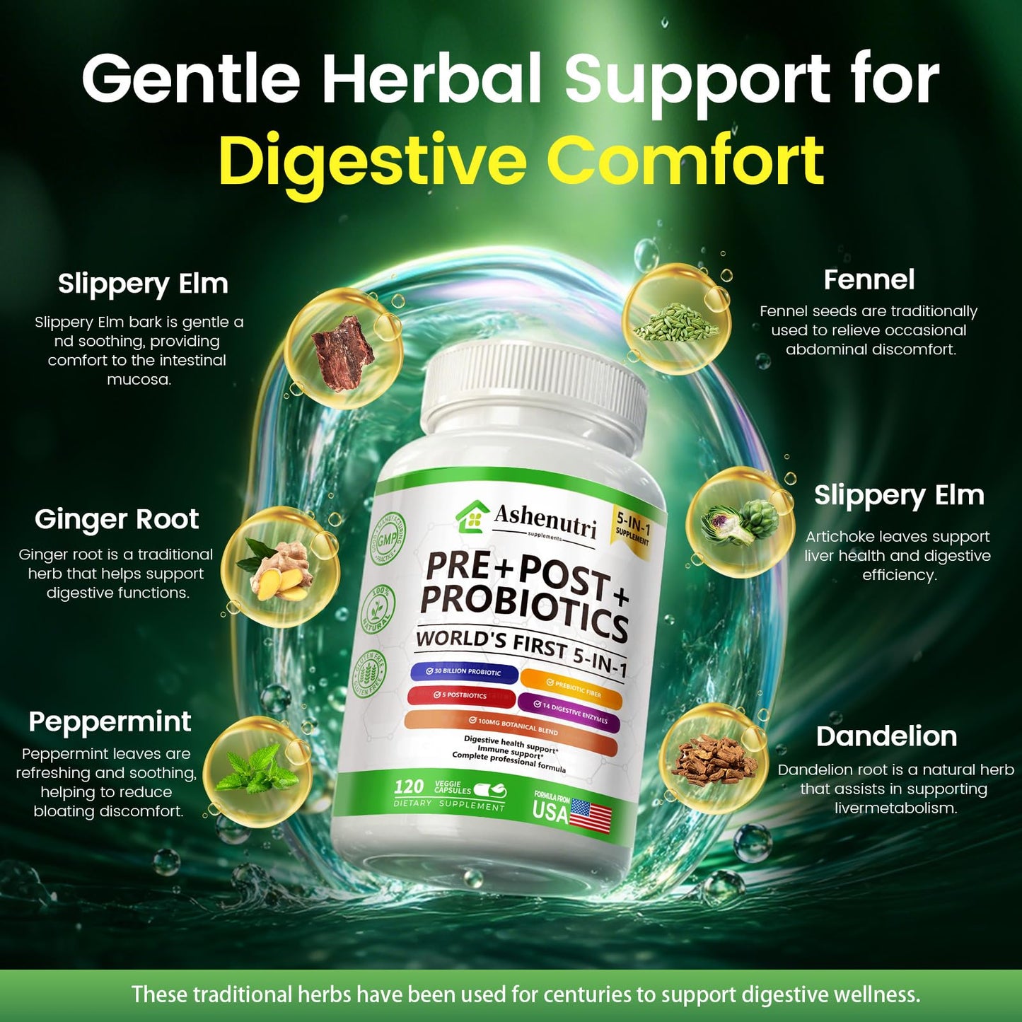 Ashenutri Probiotic Prebiotic Postbiotic for Women & Men, 30 Billion CFU, 24 Strains with Digestive Enzymes, Prebiotic Fiber & Slippery Elm – Complete Daily Immune & Gut Support, Capsule, 120 Count