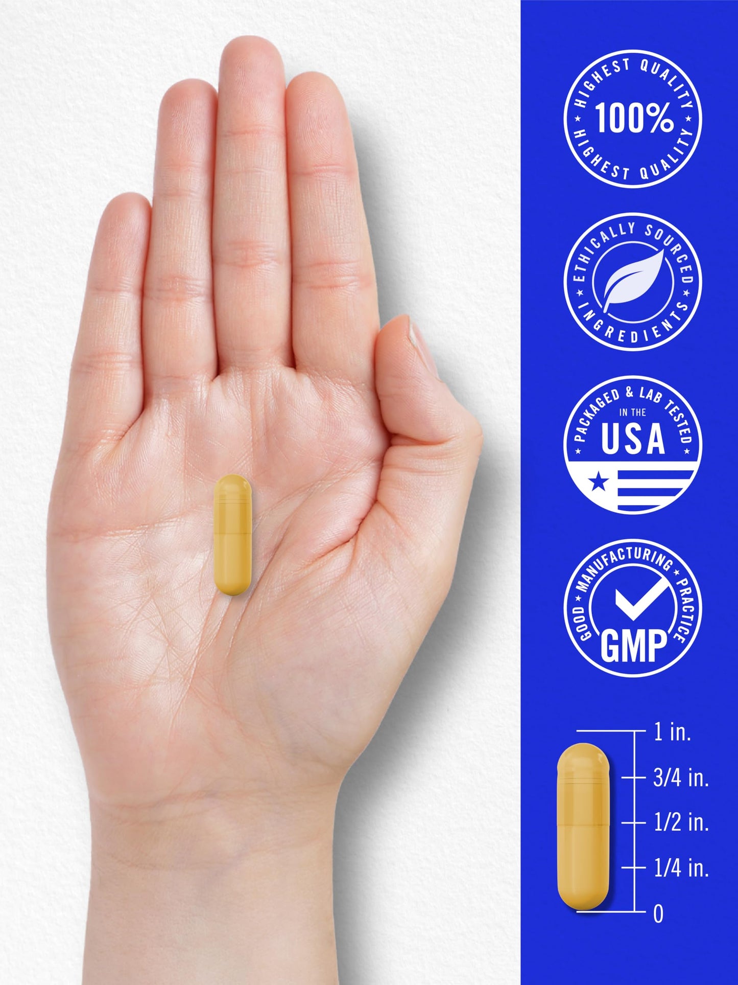 Carlyle B-100 Complex Vitamin Capsule 250