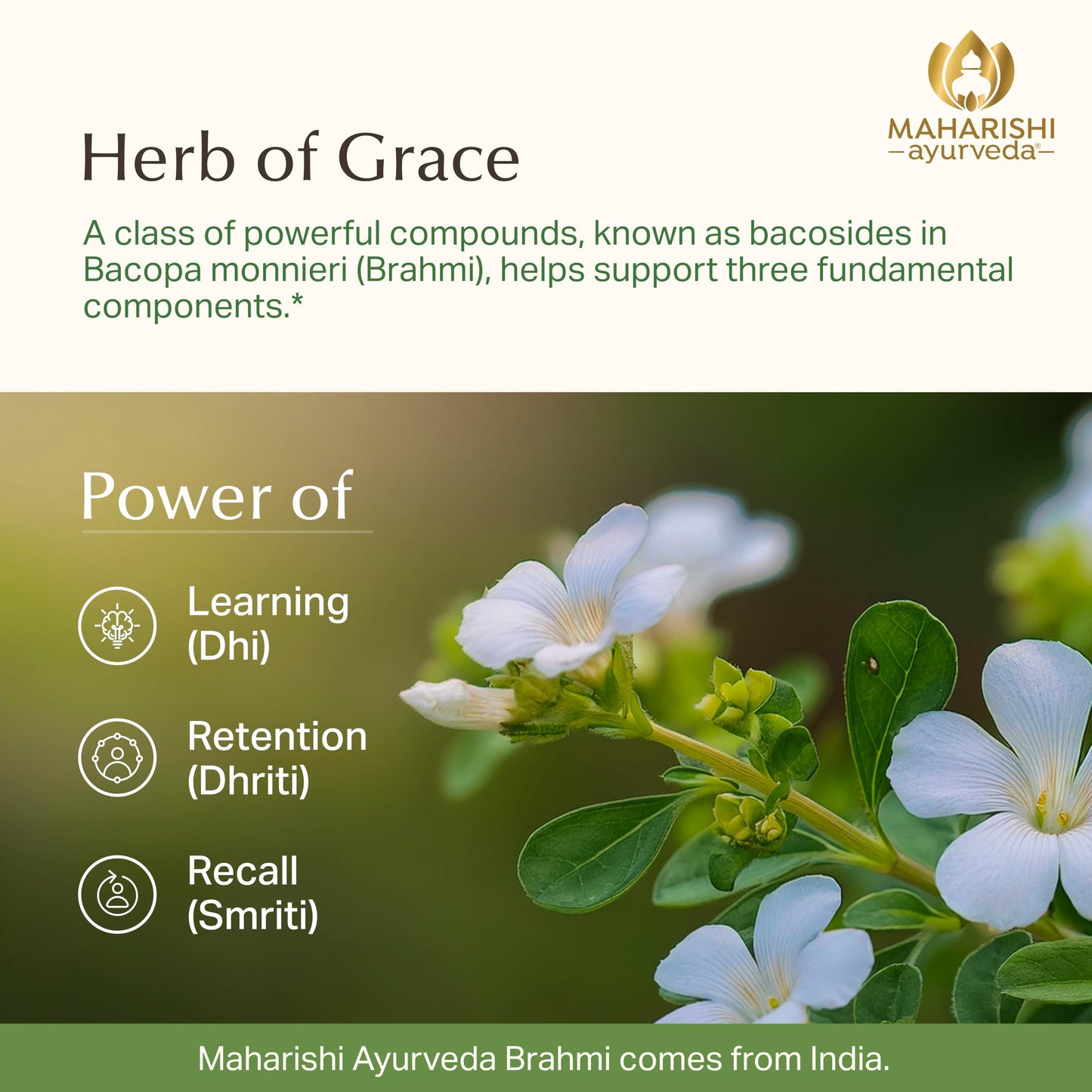 Maharishi Ayurveda Organic Brahmi (Bacopa) 500 mg, 60 Tablets
