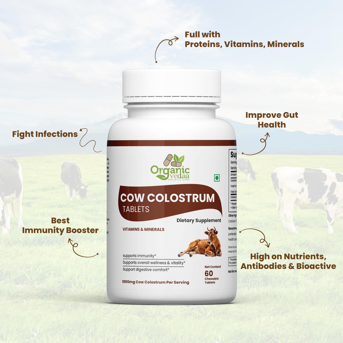 ORGANIC VEDAA HOLISTIC CARE Natural Fiber Supplement for Digestive Health & Regularity Capsule, 1 Count