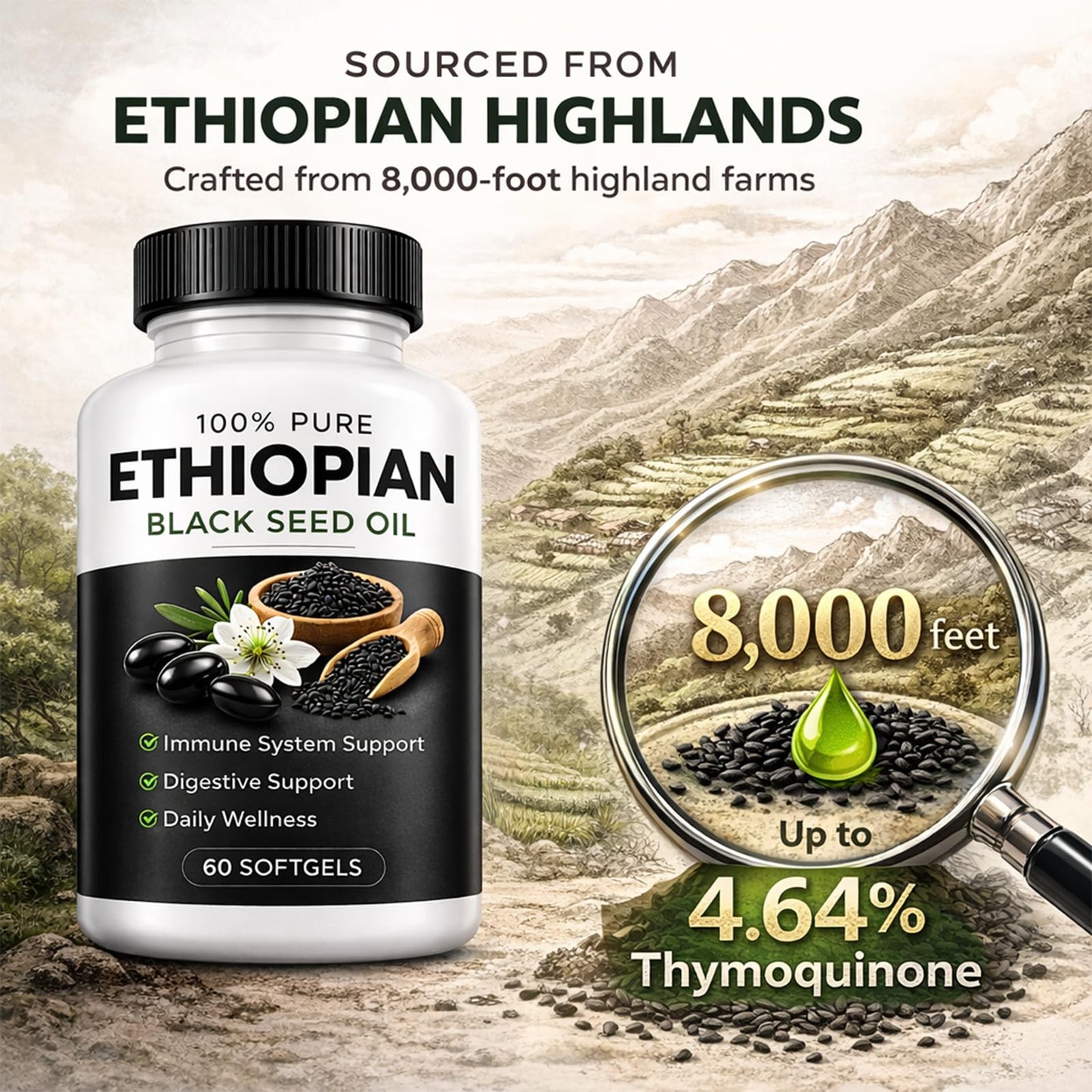 Ovela Ethiopian Black Seed Oil Softgel 60 Count