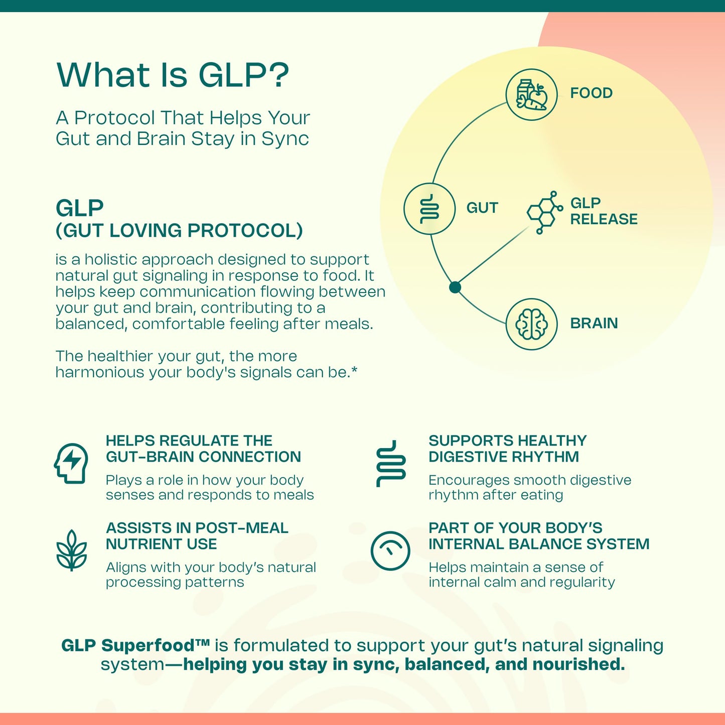 LevelUp GLP Superfood with Akkermansia Probiotic, Prebiotics, Postbiotics, Digestive Enzymes & Polyphenols Powder 10.5 oz