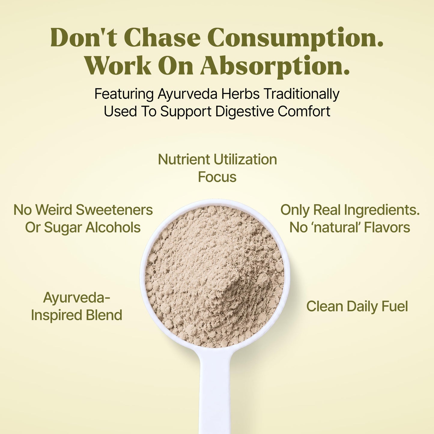 Elements Chai Spice Plant Protein Powder, 25.5 Servings