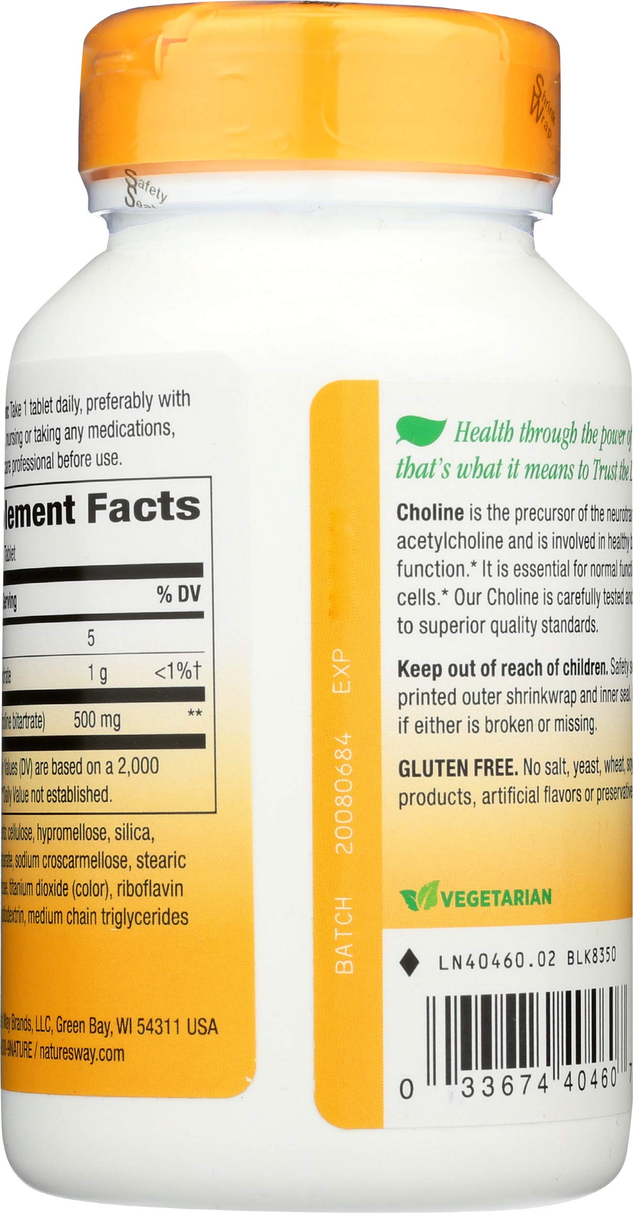 Nature's Way Choline 500mg Tablet, 100 Tablets