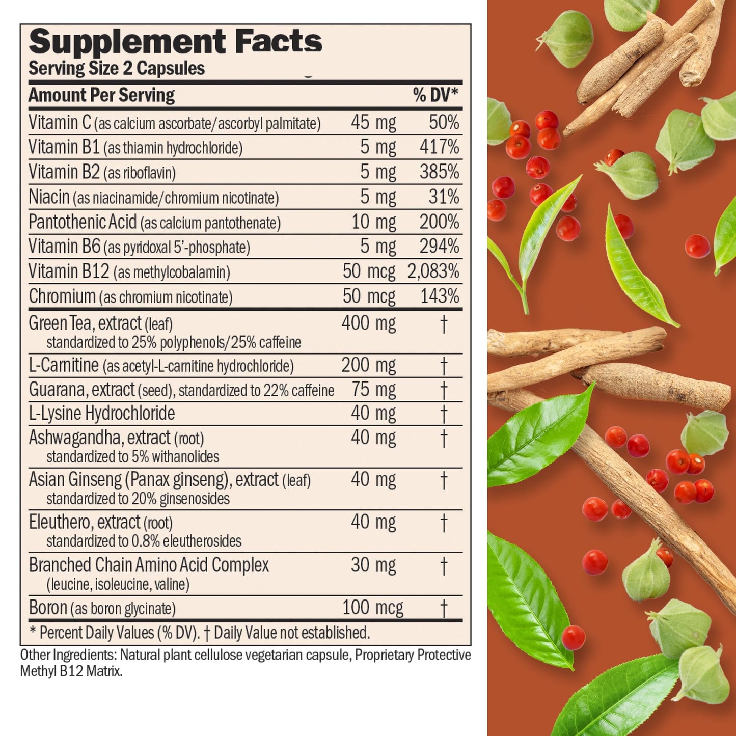 ANDREW LESSMAN Energy and Fat Metabolism Factors Capsules 360