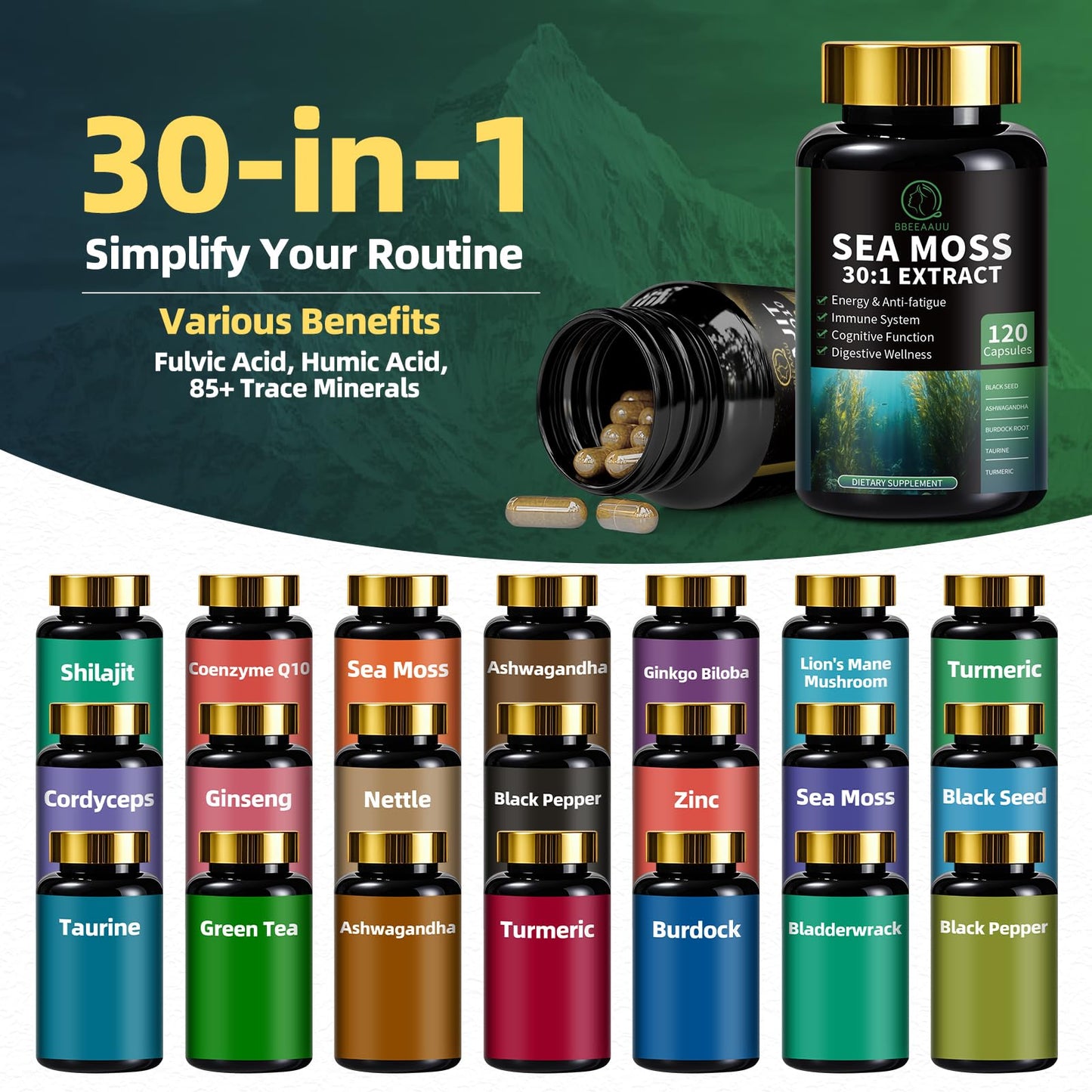 BBEEAAUU Shilajit for Men, Sea Moss and Shilajit Bundle All in 1 Supplements with Coenzyme Q10, Black Seed, Ashwagandha, Taurine, Burdock for Energy, Endurance, Antioxidant & Immune Support, 240 Capsules