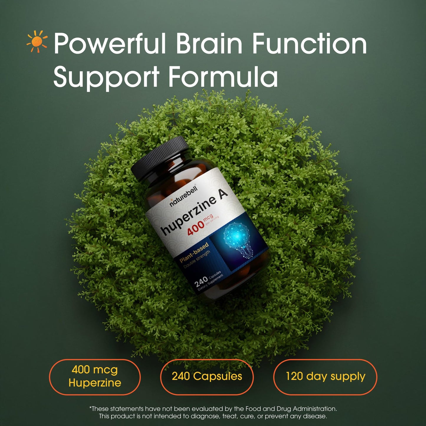 NatureBell Huperzine A 400mcg Capsules, 240 Count