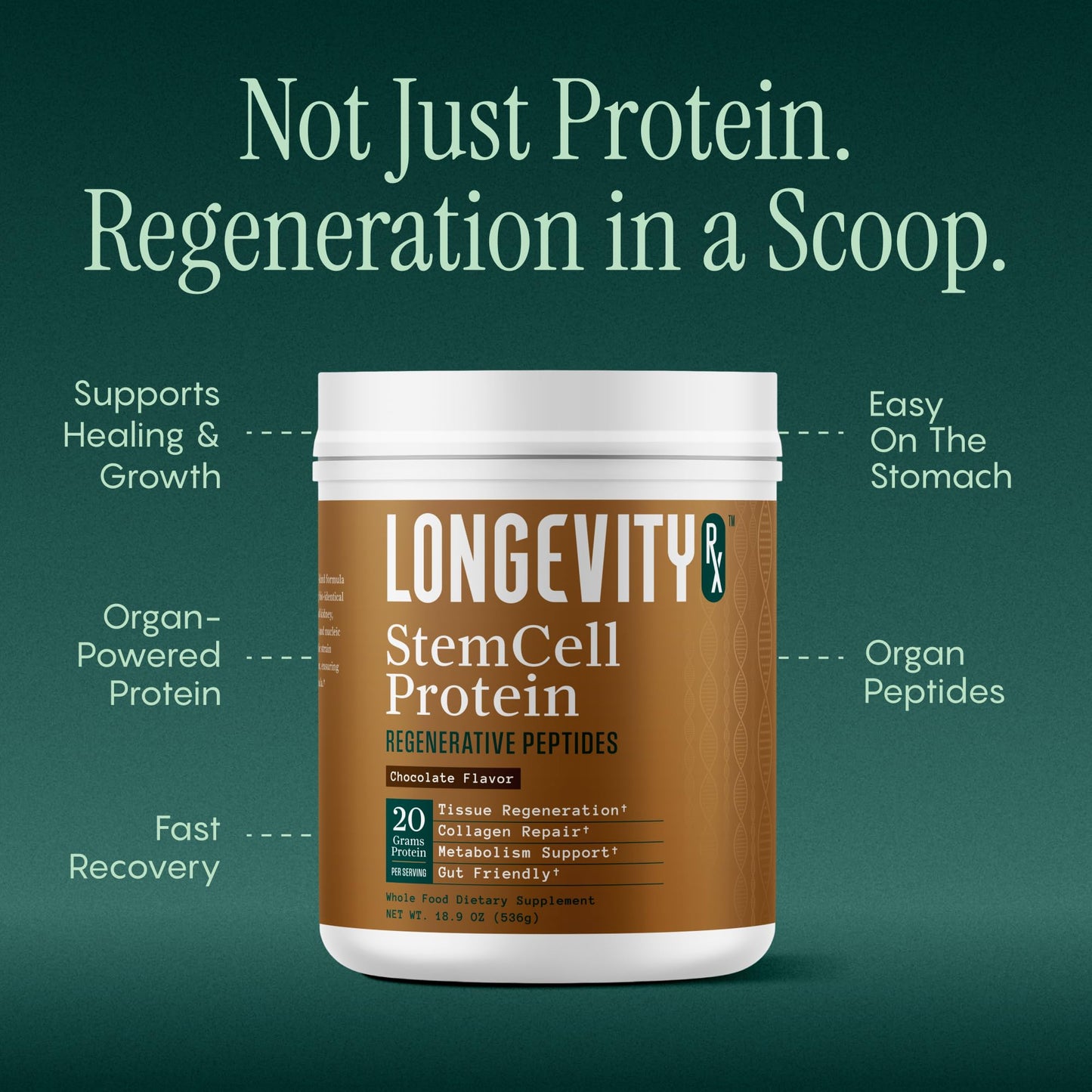 Longevity Rx Stem Cell Protein Powder Chocolate – Bone Marrow & Bone Broth Protein, Bacillus Subtilis AB-22, Natural Peptides – Cellular Recovery, 0.95 oz
