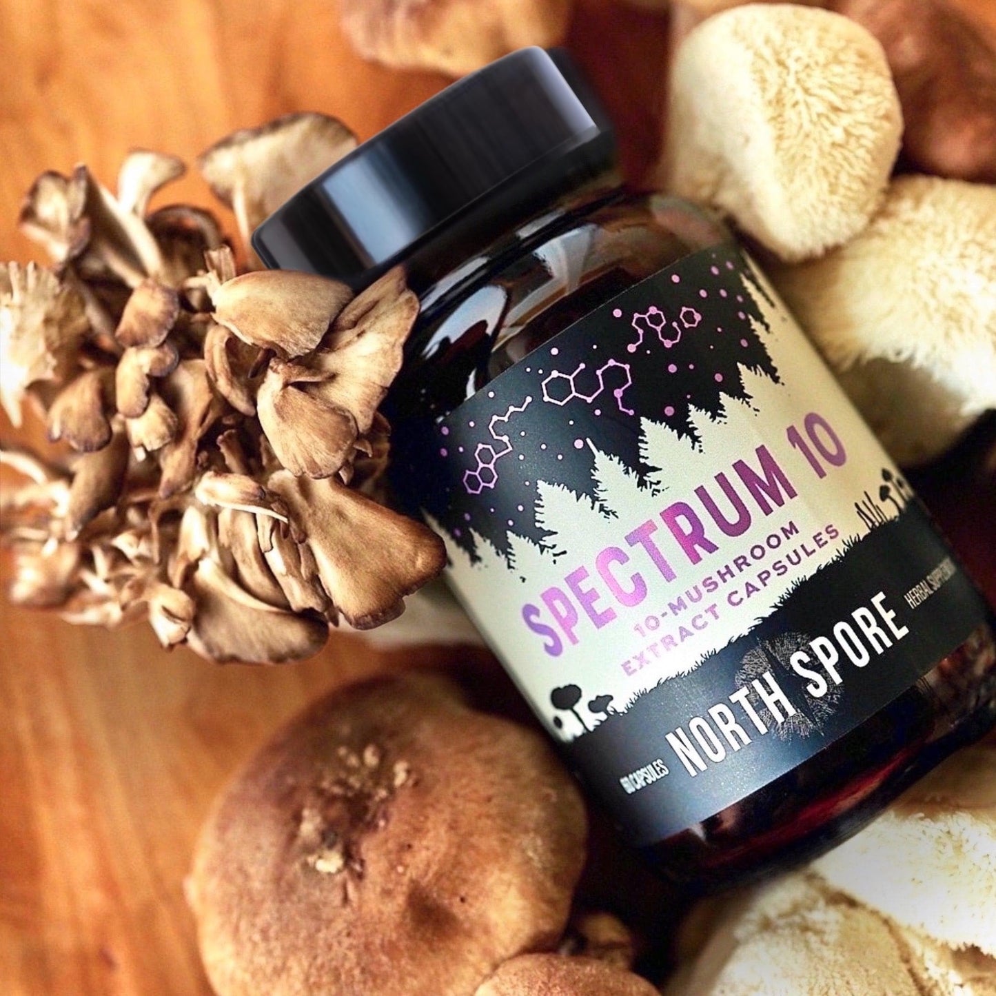 North Spore Spectrum 10 Mushroom Extract Supplement Capsules 60
