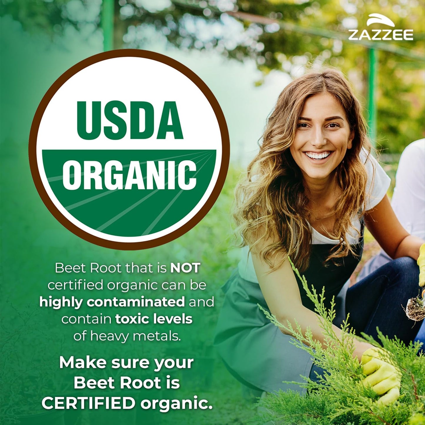 Zazzee USDA Organic Beet Root 20:1 Extract Capsules, 120 Count