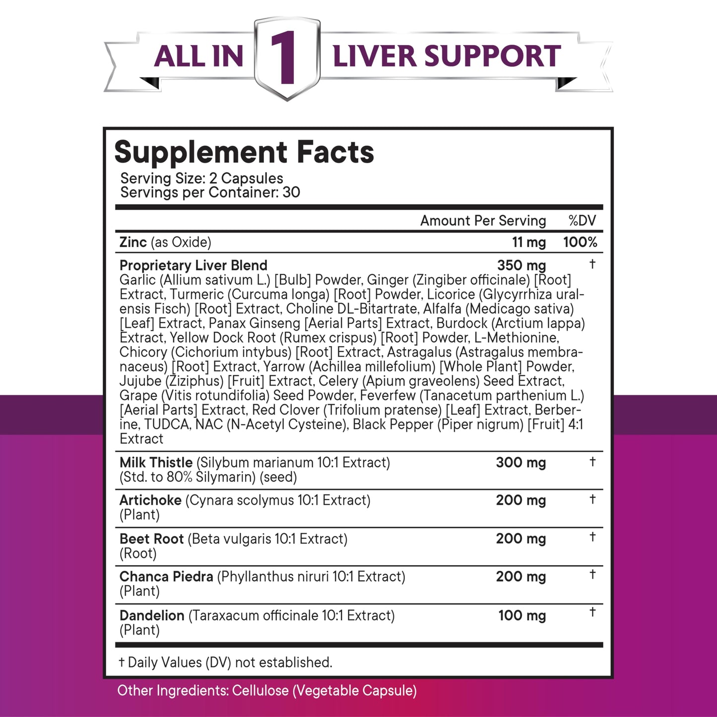 NEW AGE Milk Thistle NAC Chanca Piedra Beet Root Artichoke Dandelion Root Astragalus Plus TUDCA & Ginger Capsules 60 Count