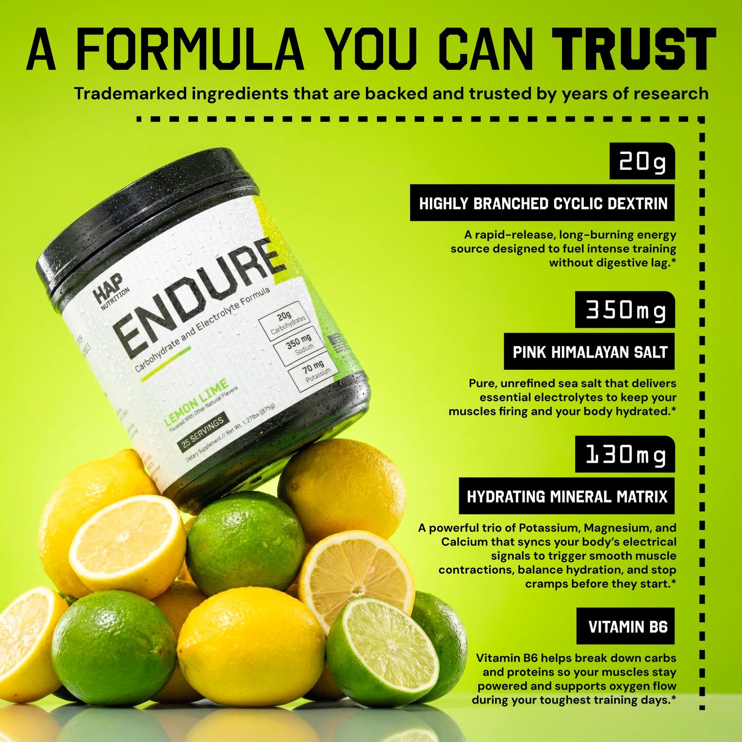 HAP Nutrition Endure Carbohydrate and Electrolyte Formula Powder 20.28