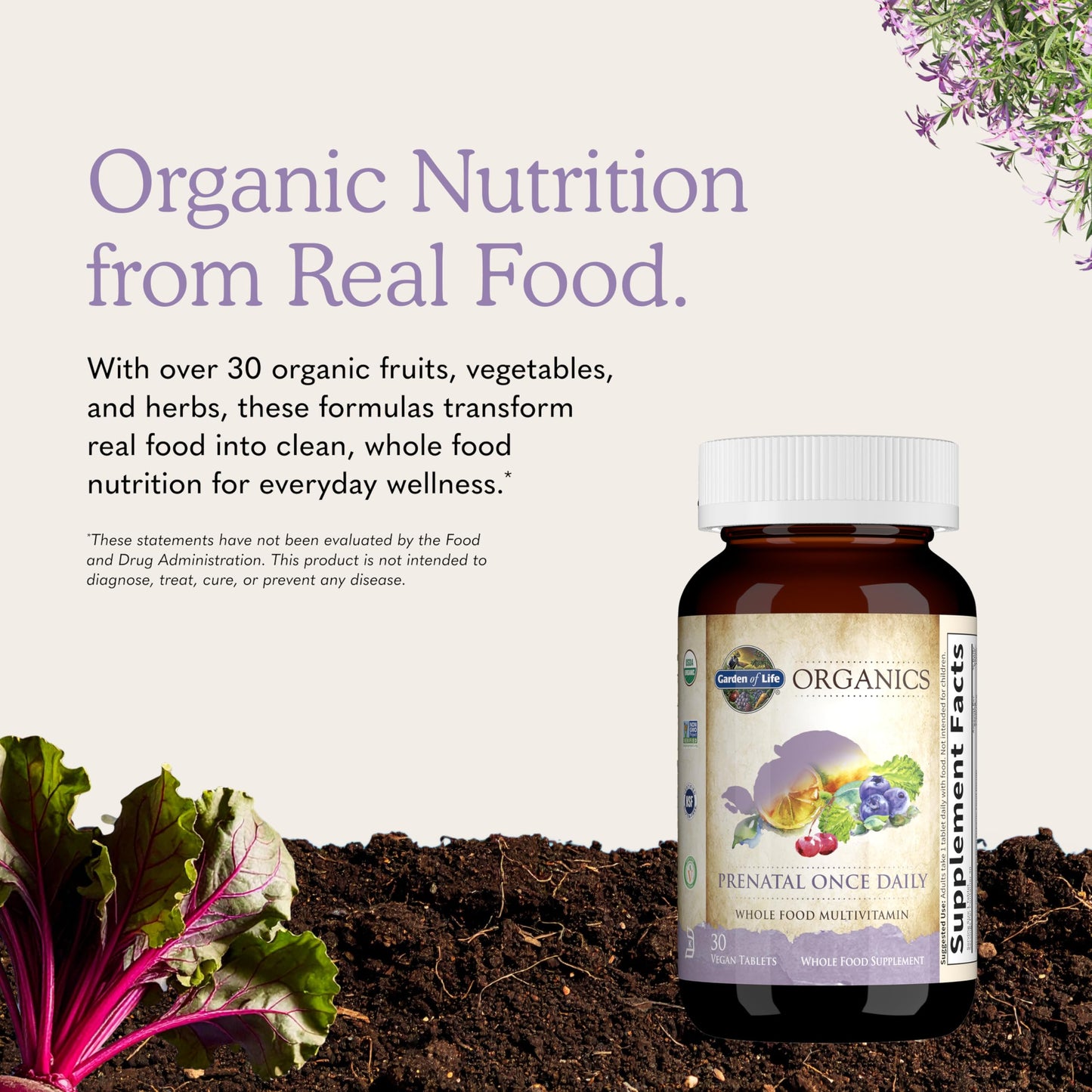 Garden of Life Multivitamin Mykind Prenatal Once Daily Organic Tablet, 30 Count