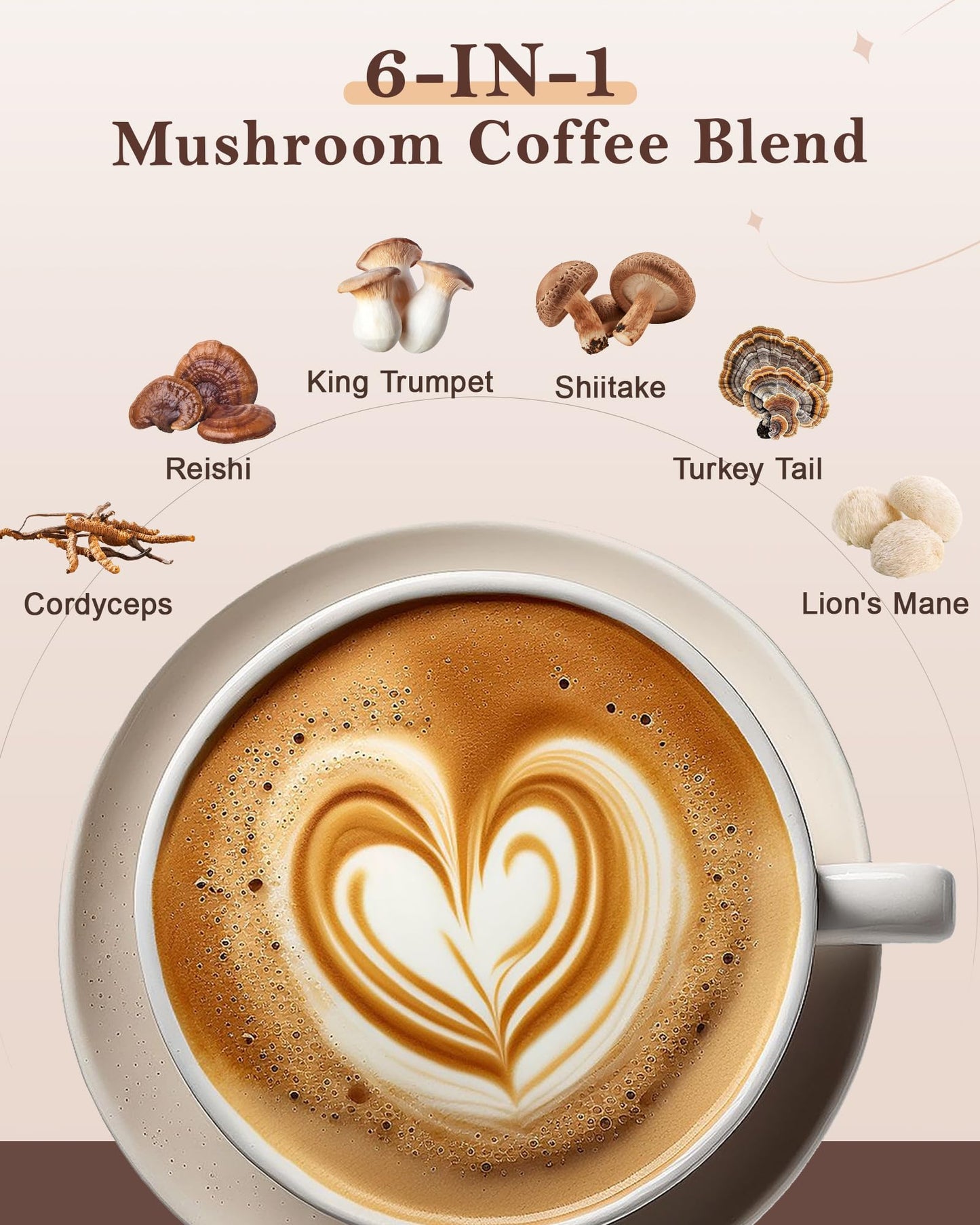 letollhold Mushroom Coffee 6-in-1 Adaptogenic Instant Mushroom Coffee with Cordyceps, Reishi, King Trumpet, Shiitake, Turkey Tail & Lion’s Mane for Energy, Digestion & Immunity Support Powder 6.3 oz