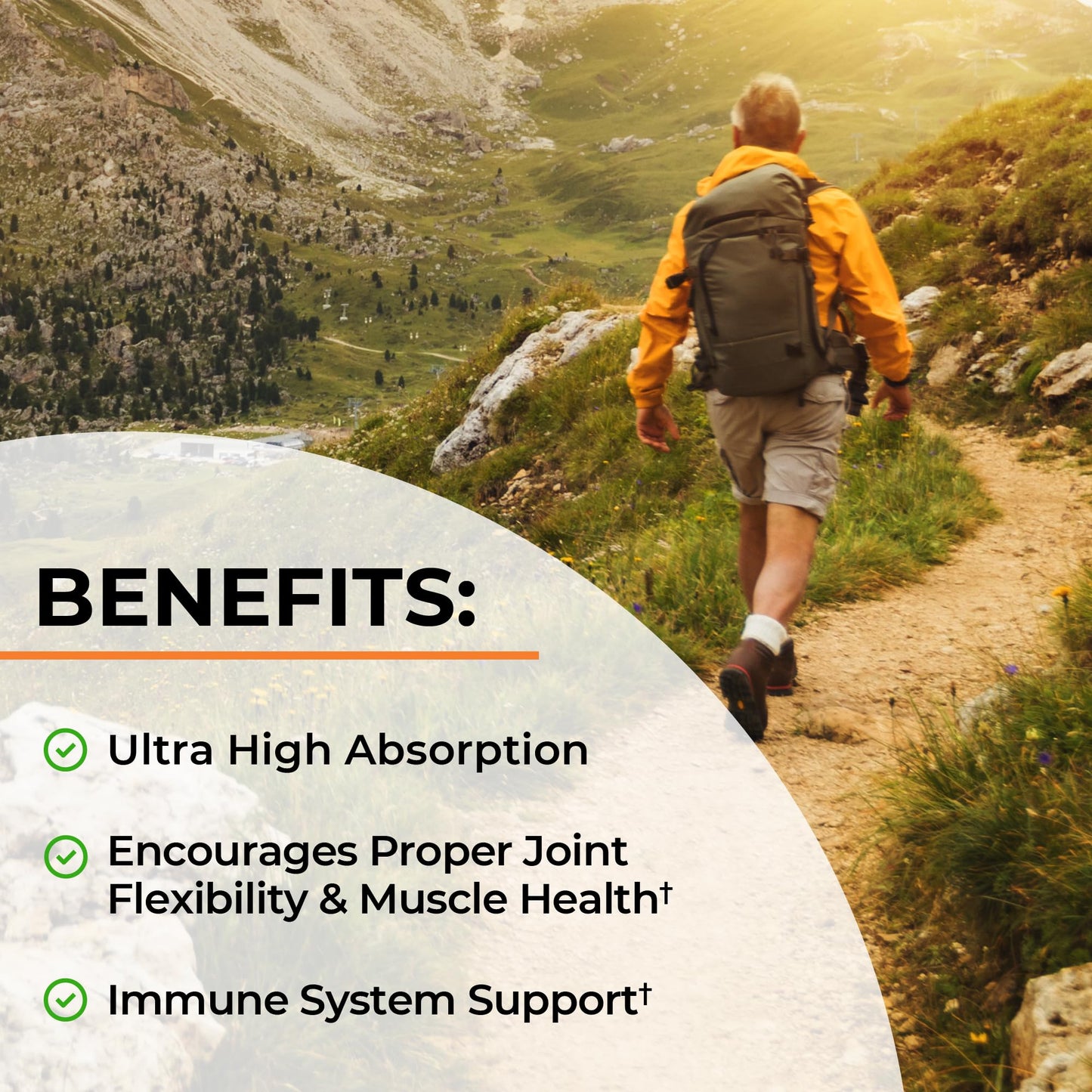 BioSchwartz Turmeric Curcumin with Black Pepper Extract 1500mg Turmeric Supplement Capsule 90 Count