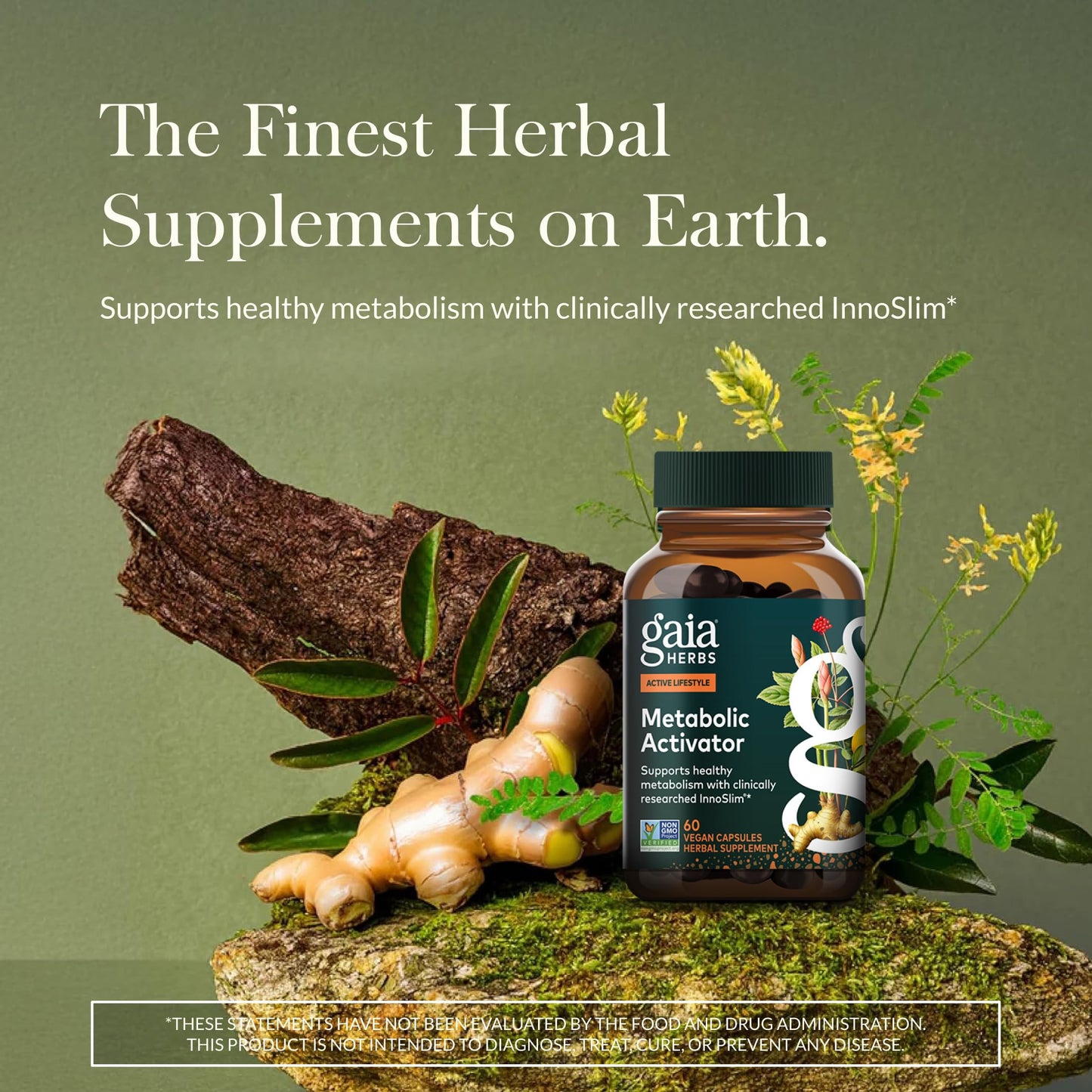 Gaia Herbs Metabolic Activator - AMPK Pathway Support with Clinically Researched Ingredients, 60 Vegan Capsules