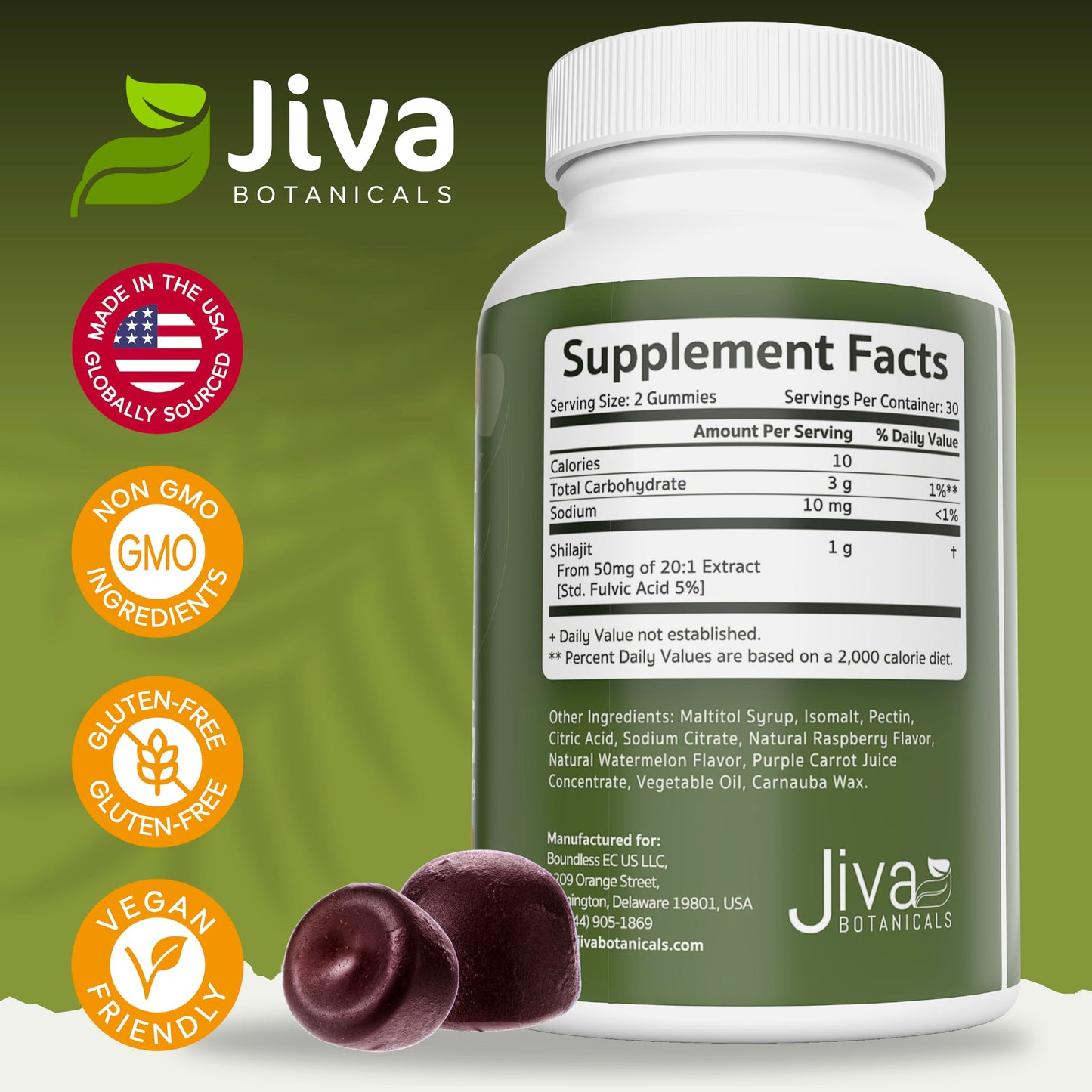 Jiva Botanicals Shilajit Gummies 1000mg, 60 Count