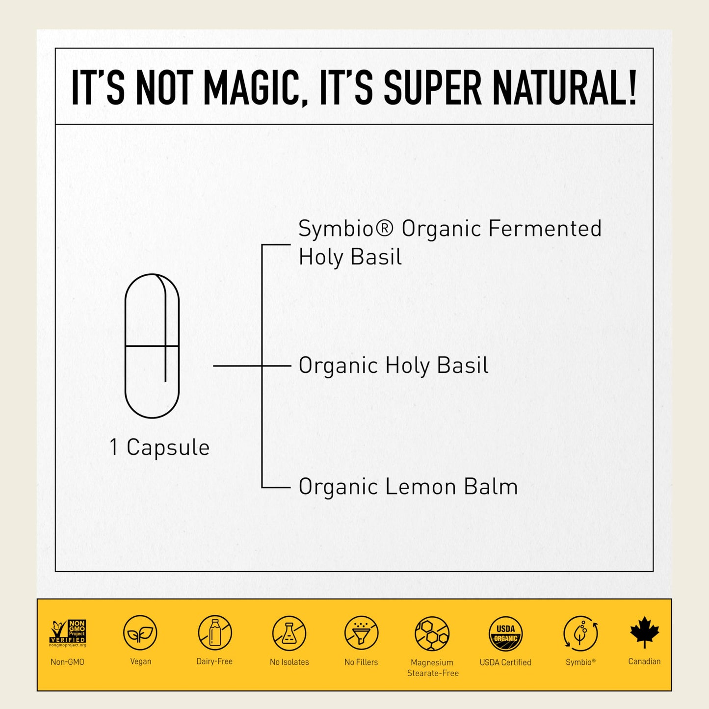 Living Alchemy Holy Basil Supplements - Fermented Holy Basil with Natural Lemon Balm - Daily Supplements for Women & Men - Vegan, Non-GMO Powder, 60