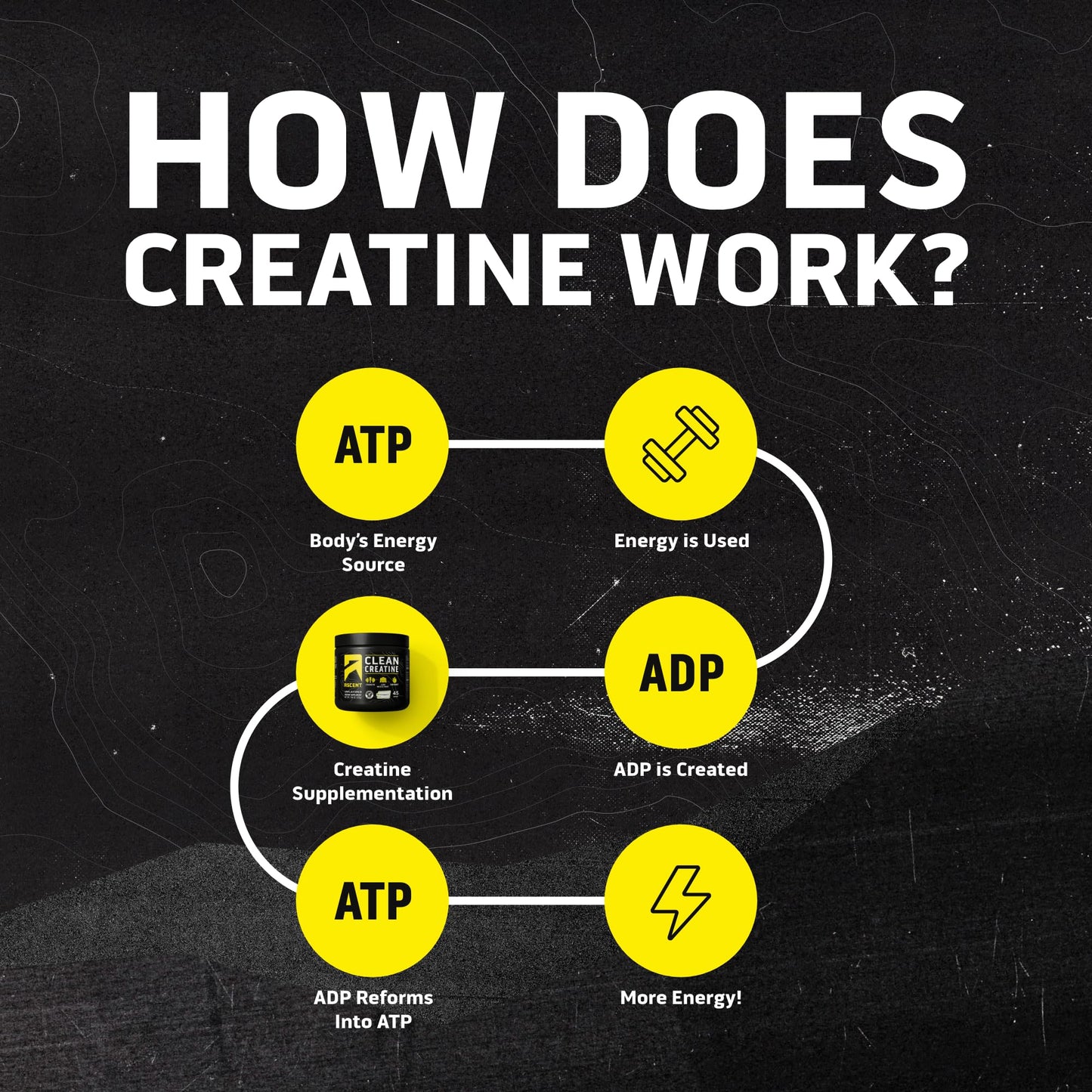 Ascent Clean Creatine Monohydrate, Creapure, Unflavored Powder, 45 Servings