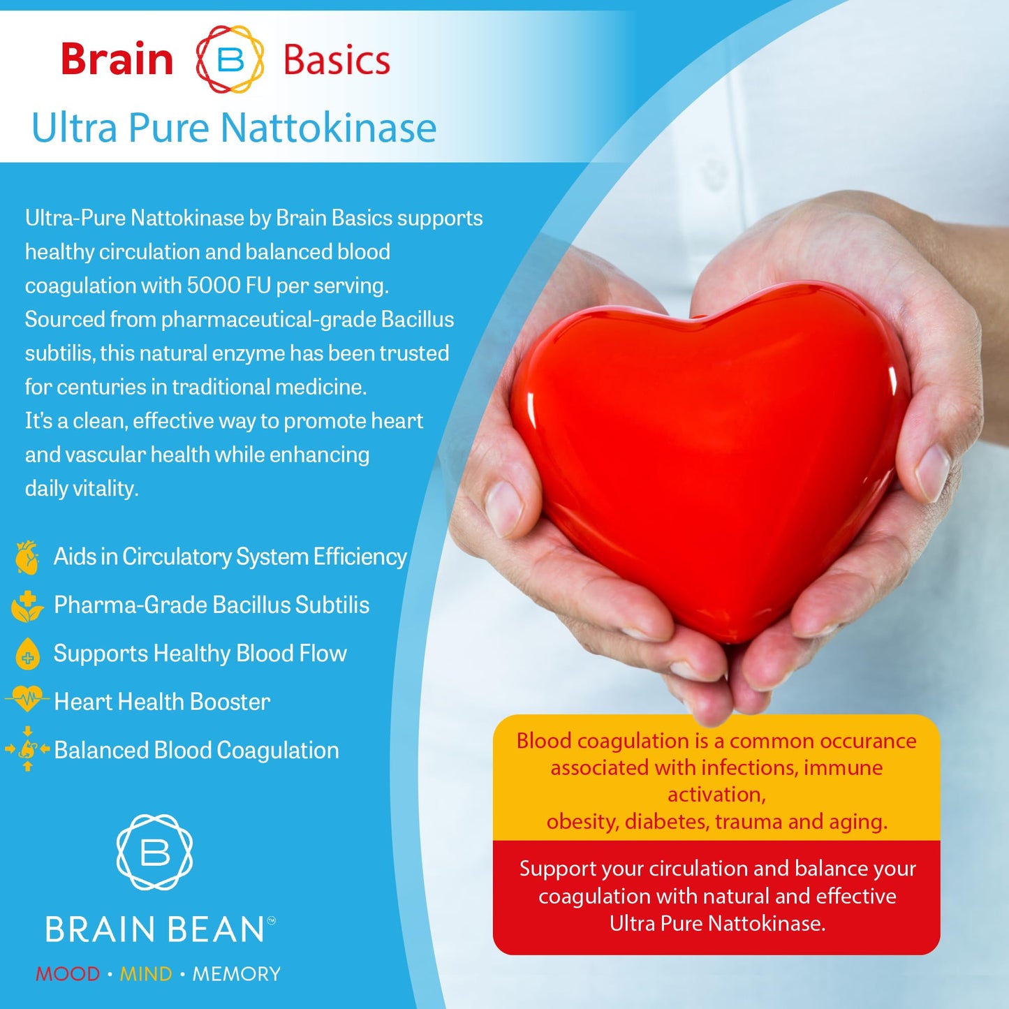 Brain Bean Brain Basic Ultra-Pure Nattokinase 5000 FU Capsule 120 Count
