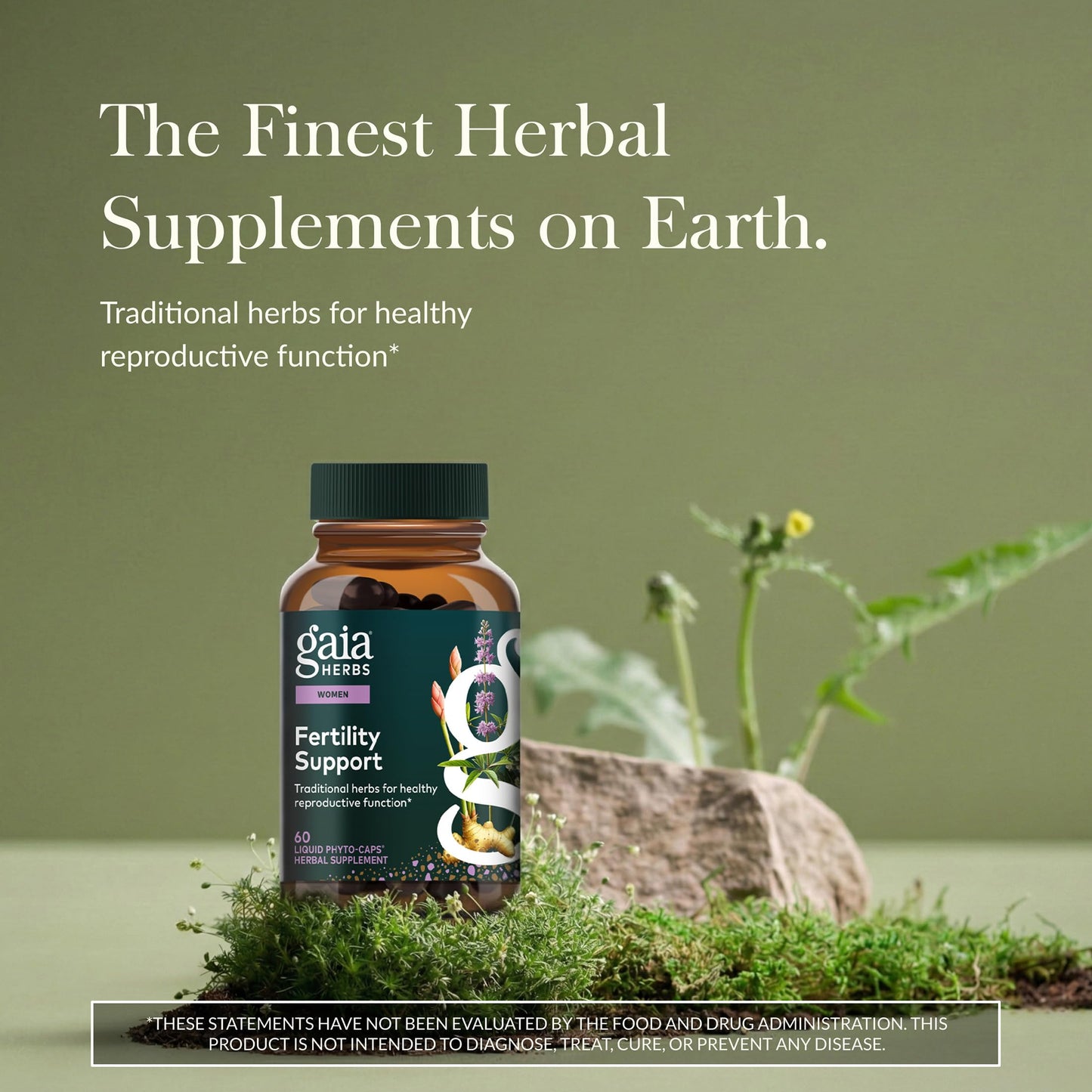 Gaia Herbs Fertility Support with Hormone Balance for Women with Traditionally Used Chaste Tree 60 Capsules