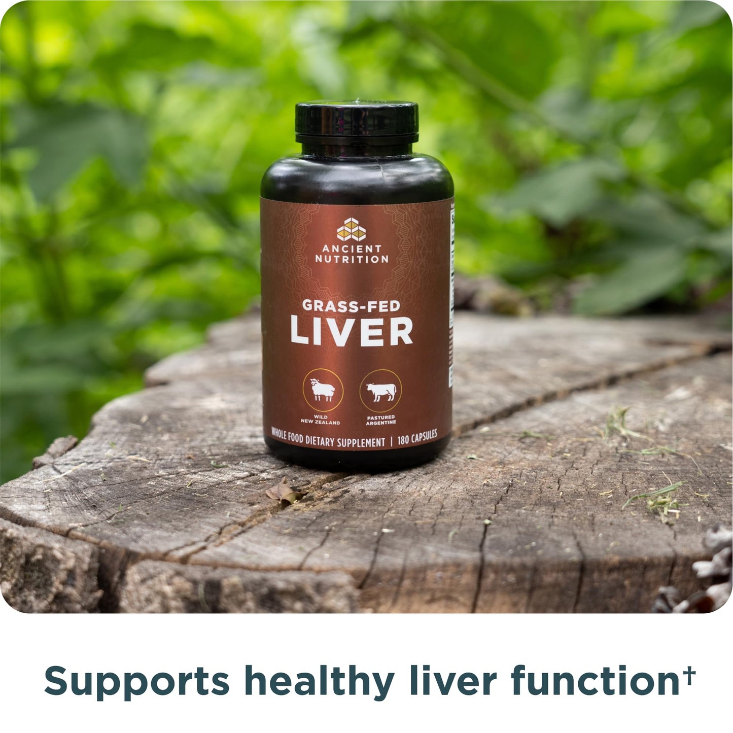 Ancient Nutrition Organ Supplements Grass-Fed and Wild Organ Complex Beef & Lamb Liver Capsules, 180 Capsules