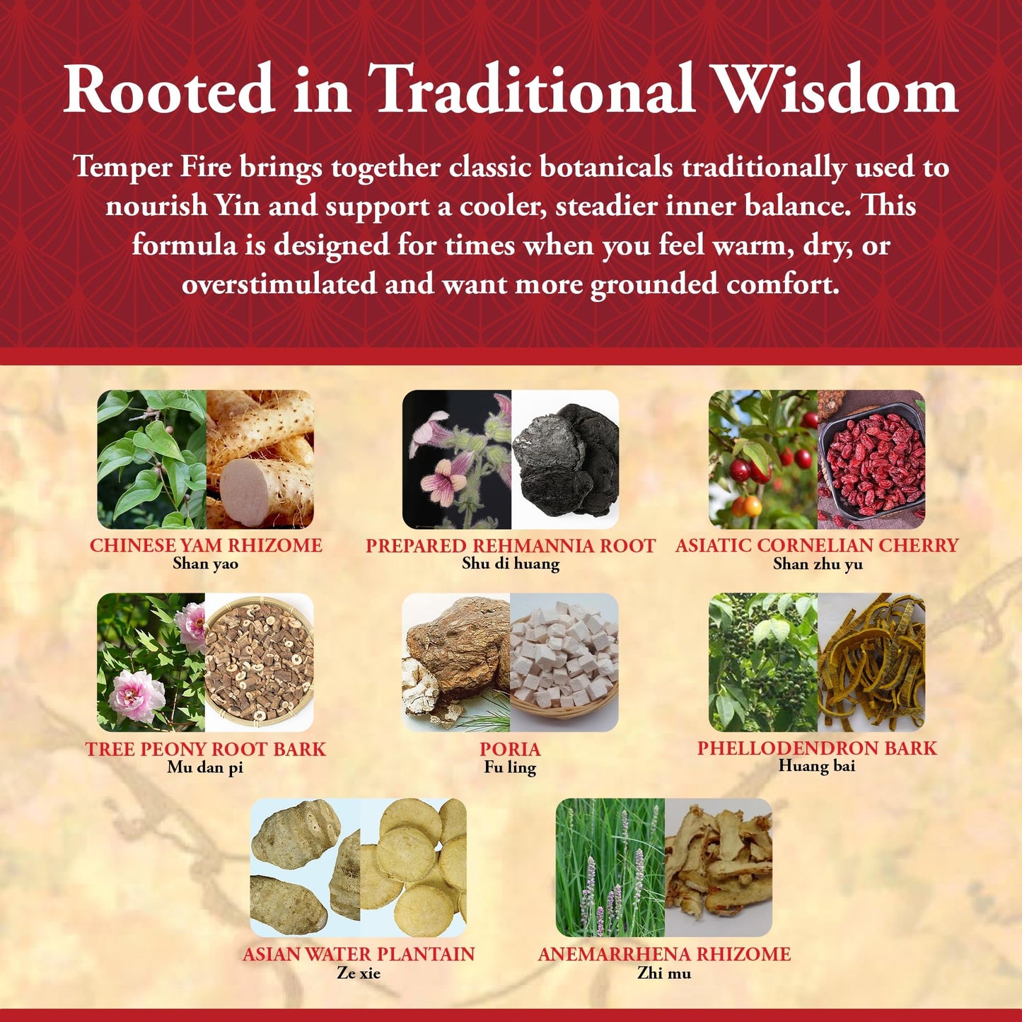 Kan Herb Temper Fire Traditional Herbal Formula 120 Tablets