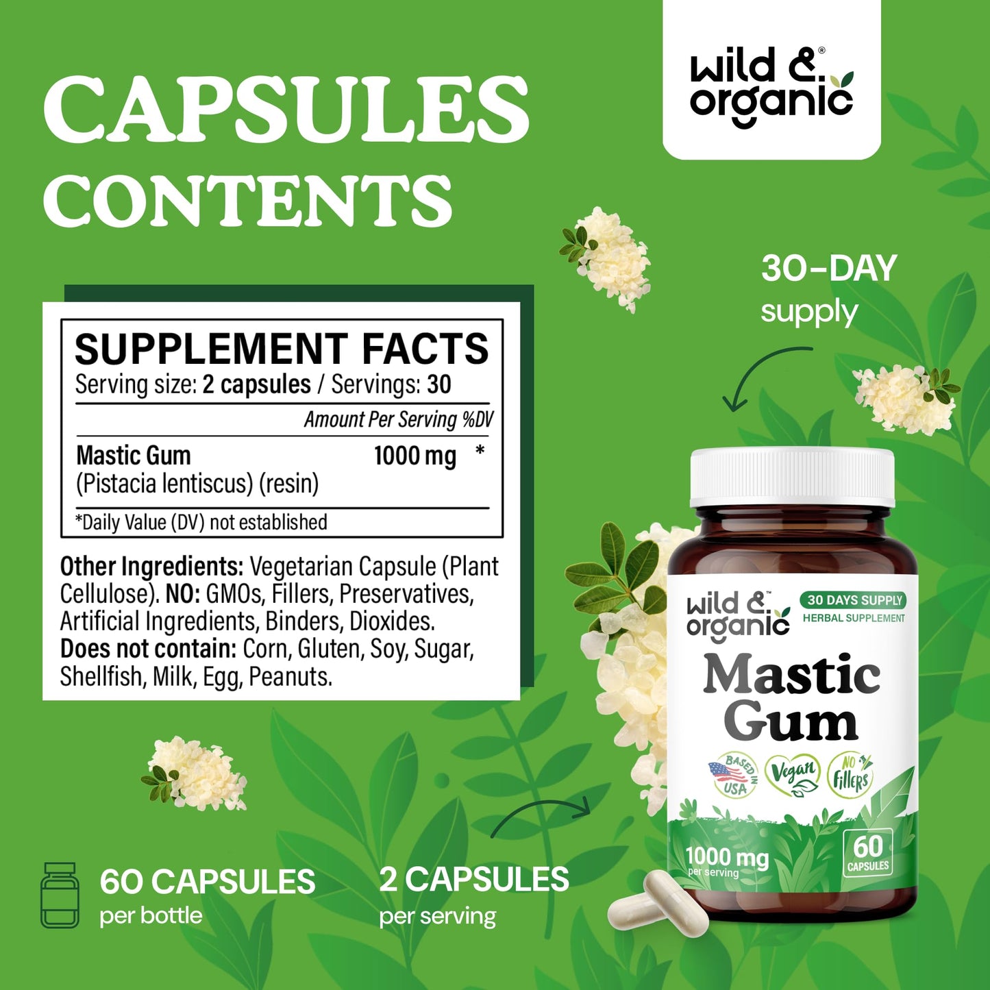 Wild & Organic Mastic Gum Capsule 1000 mg, 60 Count