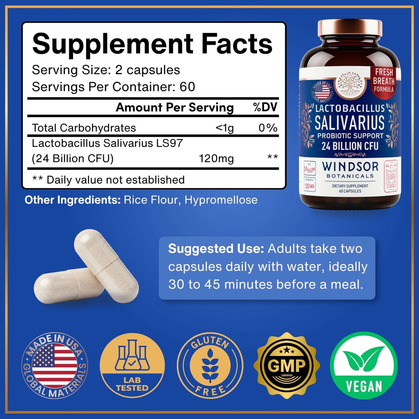 WINDSOR BOTANICALS Lactobacillus Salivarius Probiotic Capsule 24bn CFU, 60 Count