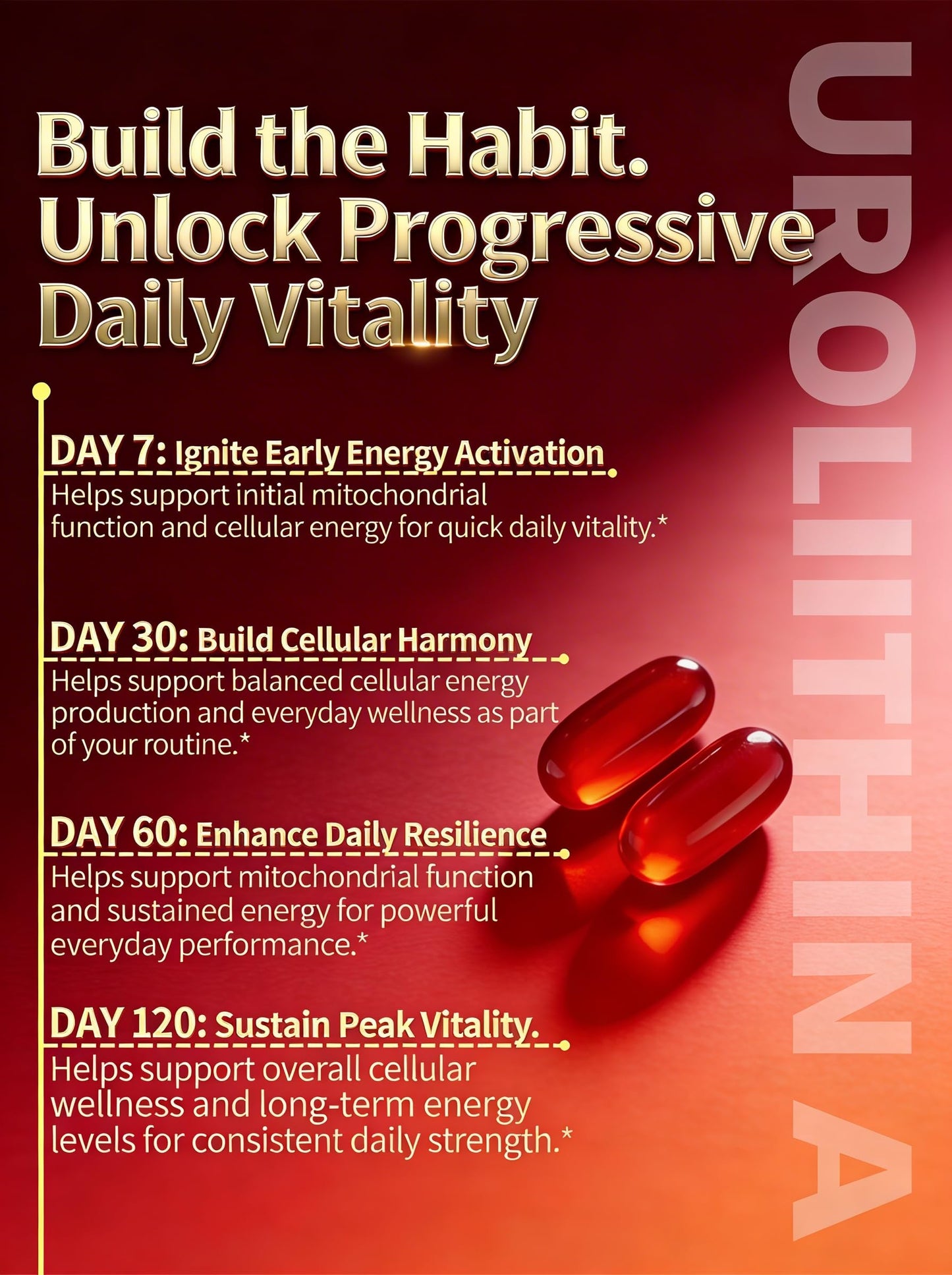 GulpGrove Urolithin A Premium 6-in-1 Mitochondrial Support Supplement 120 Softgels