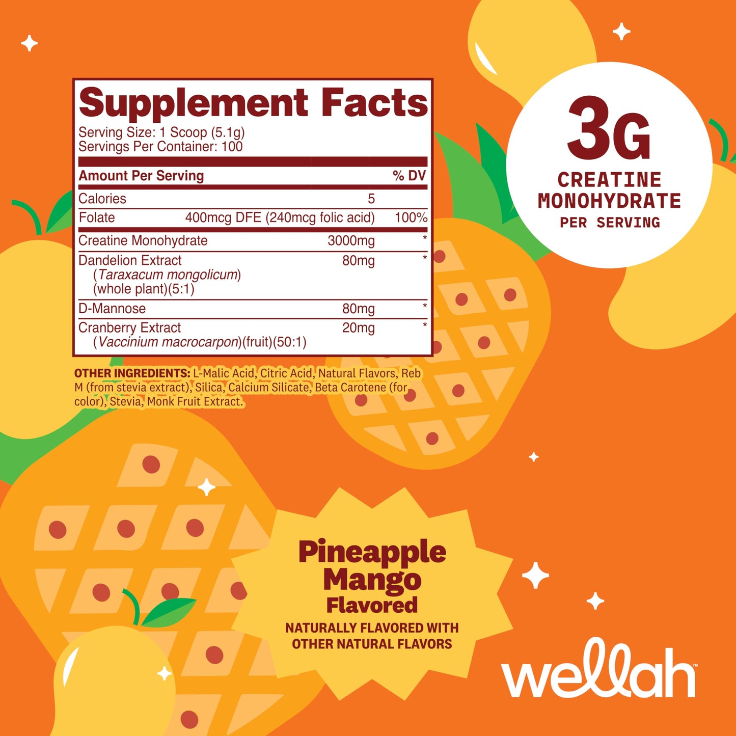 Wellah Creatine for Women - Creatine Monohydrate with Dandelion & Cranberry Extract Powder 18.6
