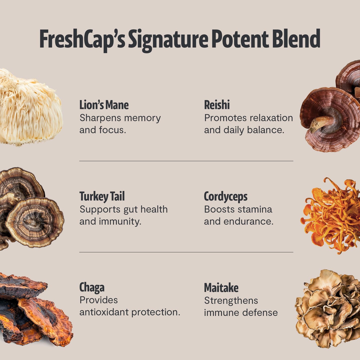 FreshCap Mushrooms Premium Organic Mushroom Coffee Powder 2.1