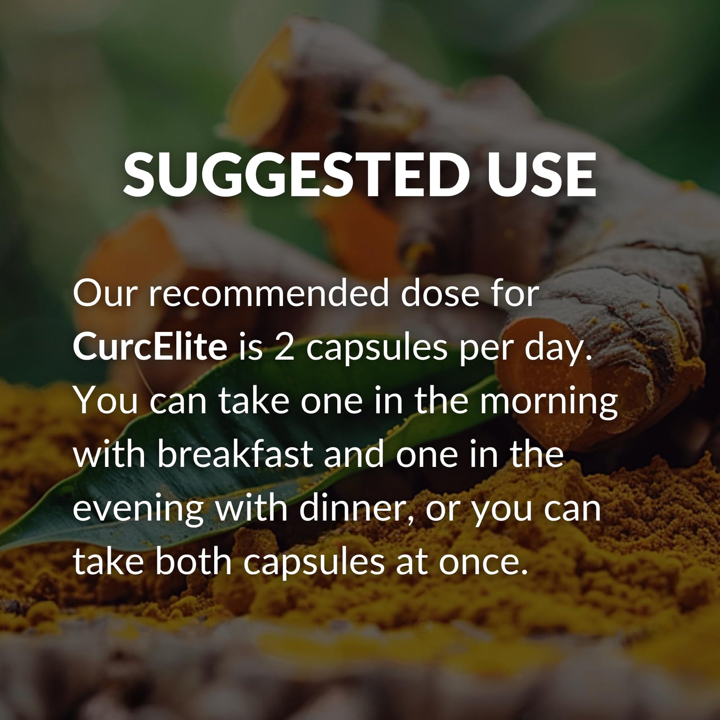 BrocElite CurcElite Curcumin Turmeric Extract 95% Curcuminoids Capsules 30 Count