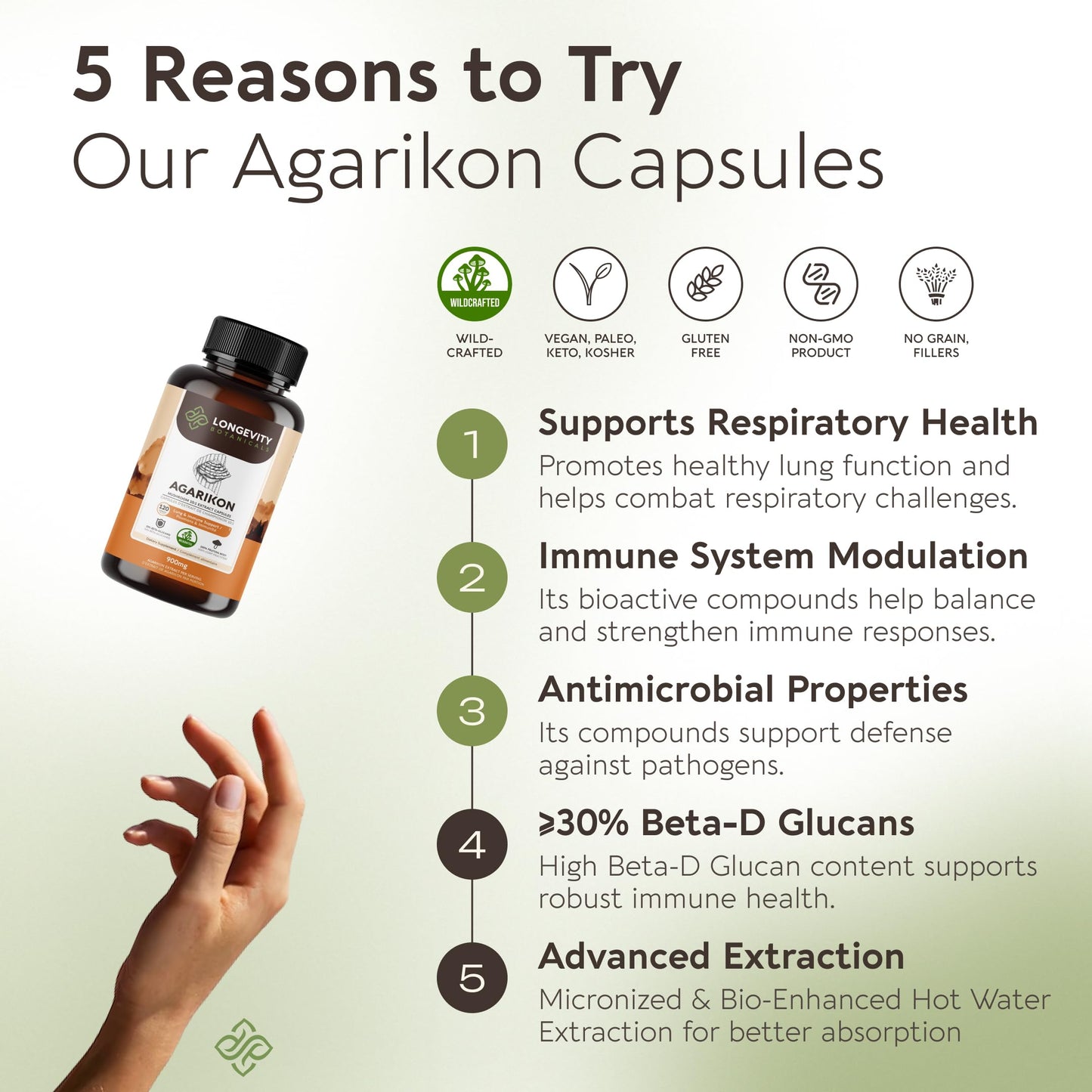 Longevity Botanicals Agarikon Mushroom Capsules 120 Count