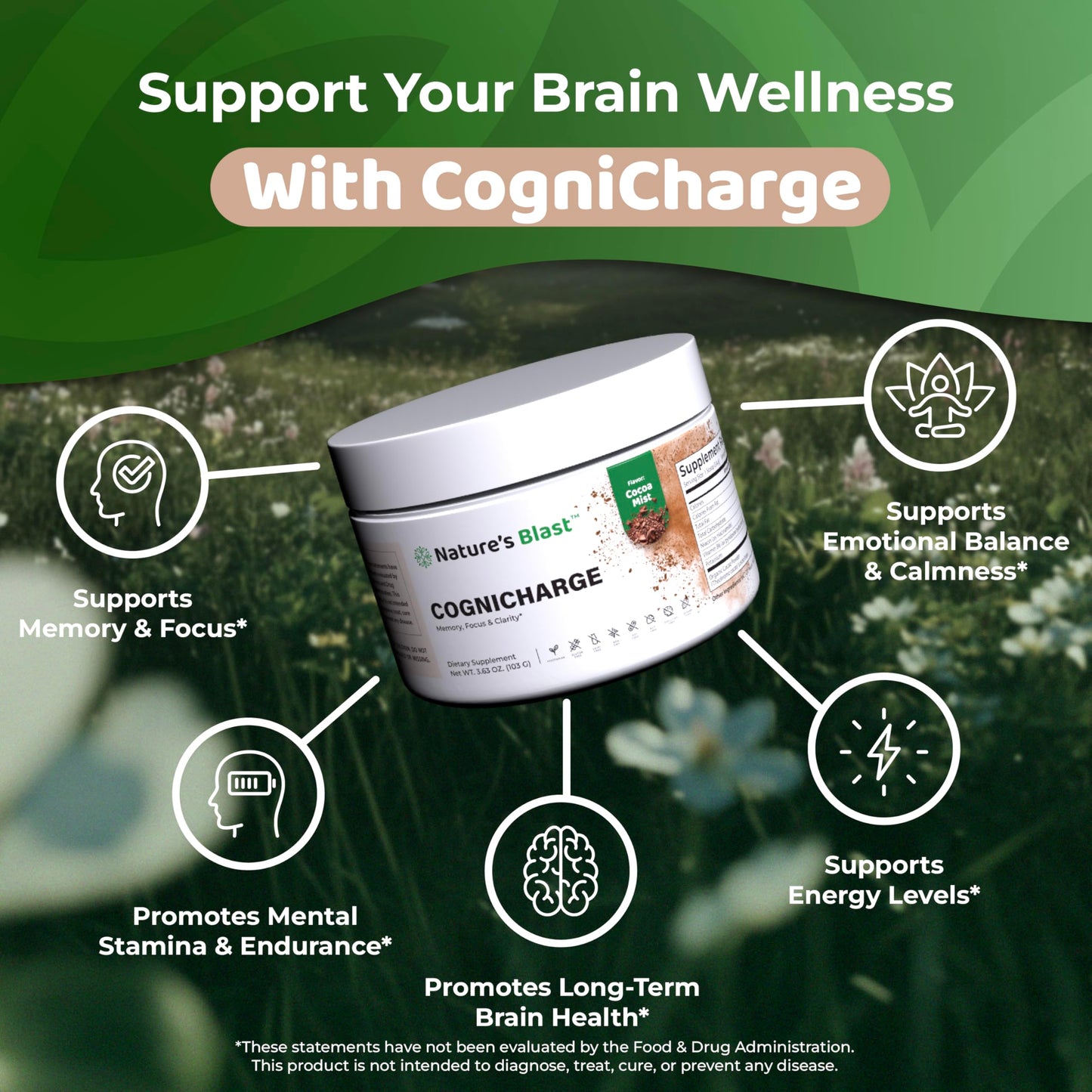 NATURES BLAST CogniCharge Brain Supplement Powder 3.63 Ounce