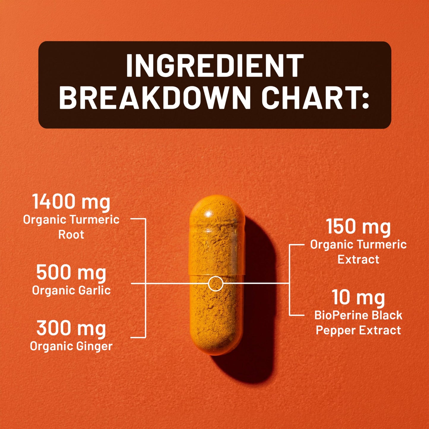NatureWise Turmeric Garlic + Ginger with BioPerine Black Pepper Extract Capsule, 120 Capsules