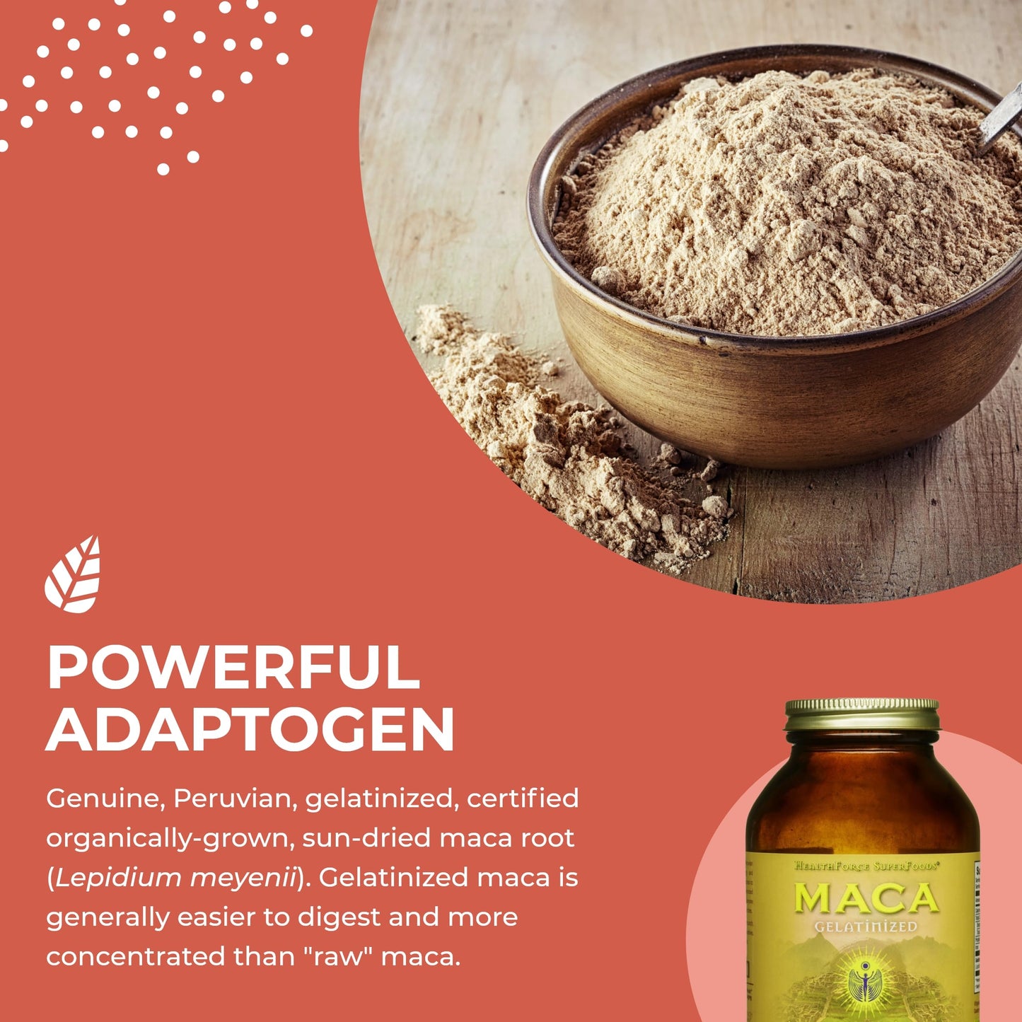HEALTHFORCE SUPERFOODS Gelatinized Maca Powder, 8 Oz