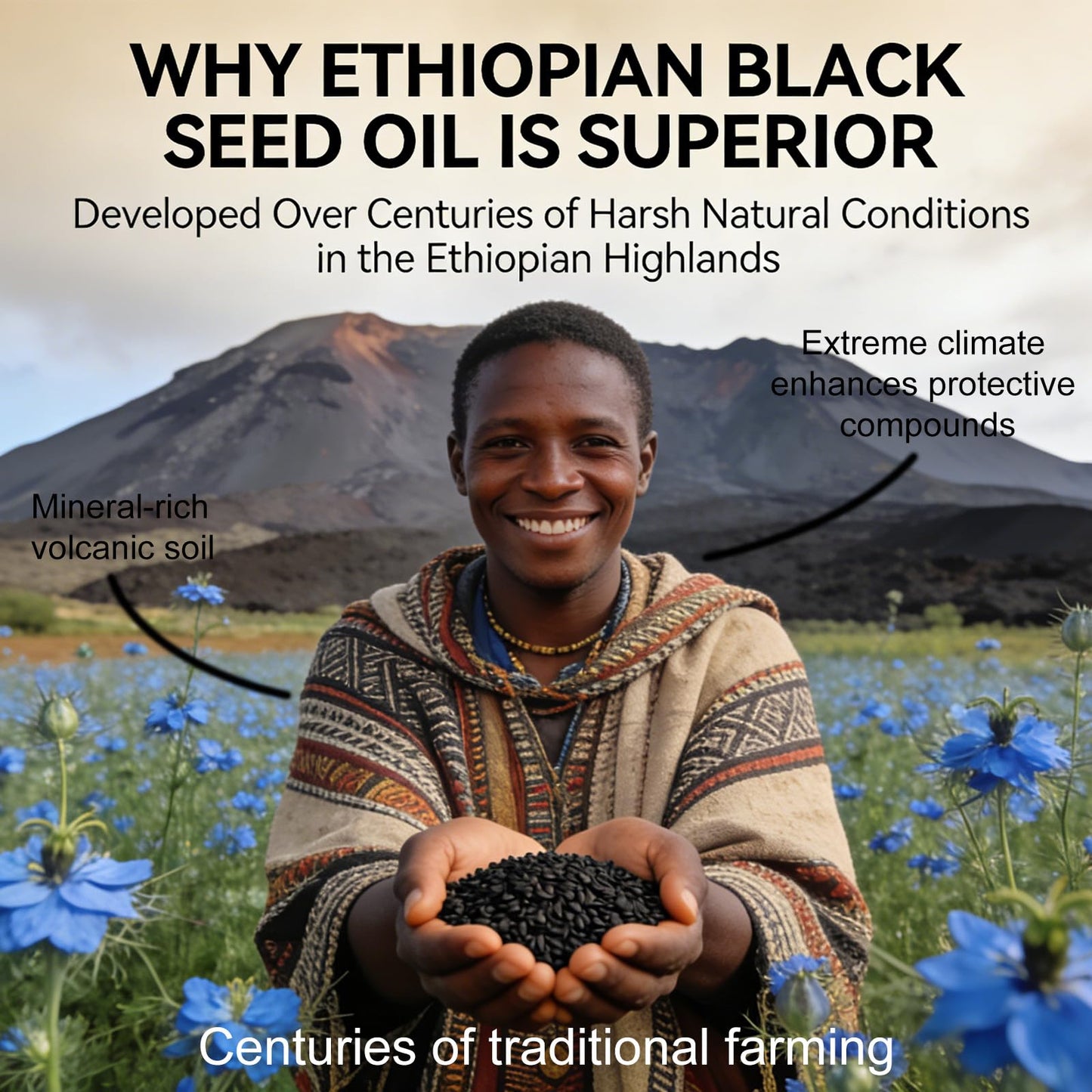 PBZPBZ Organic Ethiopian Black Seed Oil Softgels, 60 Count