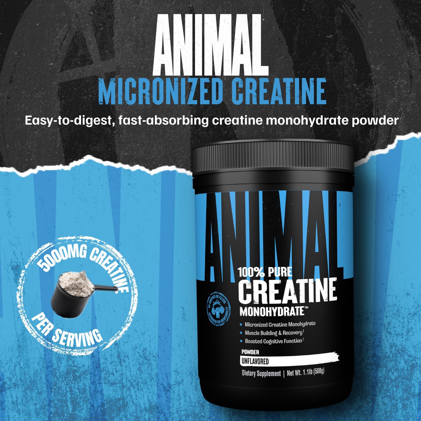 Animal Creatine Monohydrate Powder Unflavored 500g