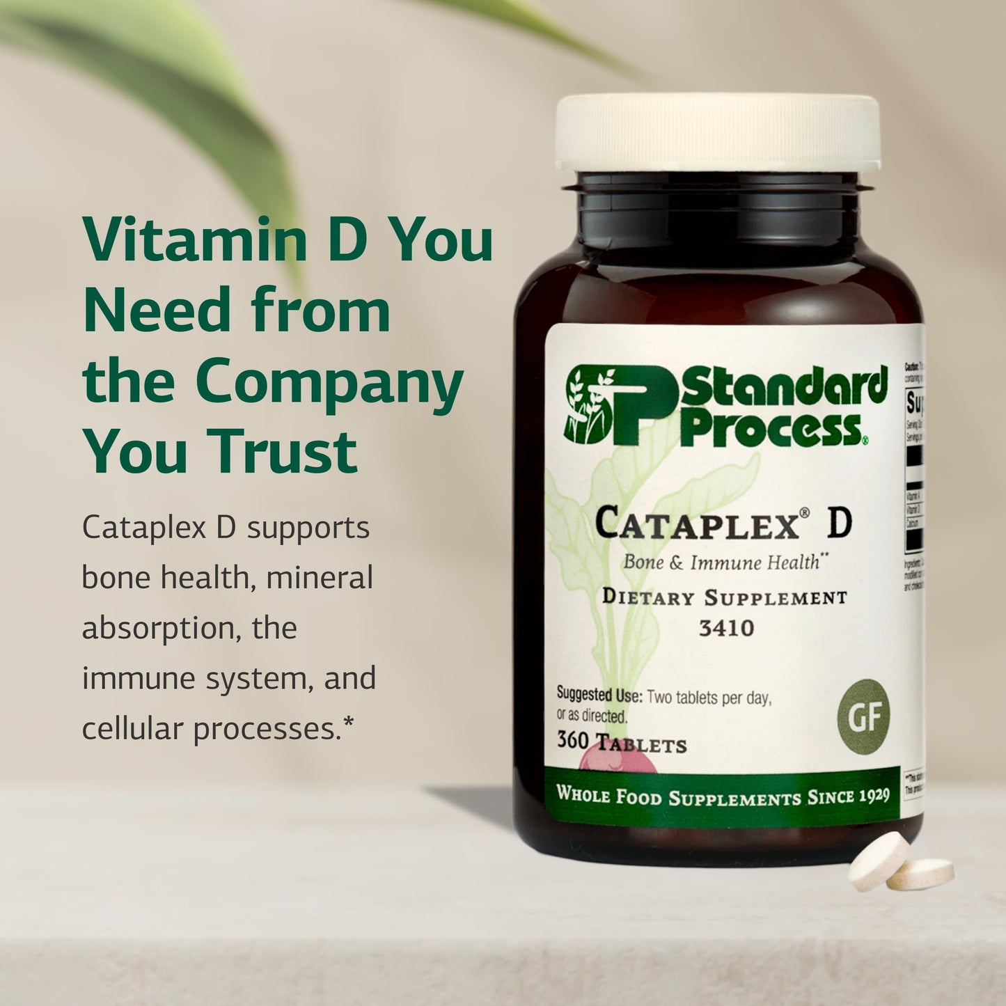 Standard Process Inc. Cataplex D Tablets 360