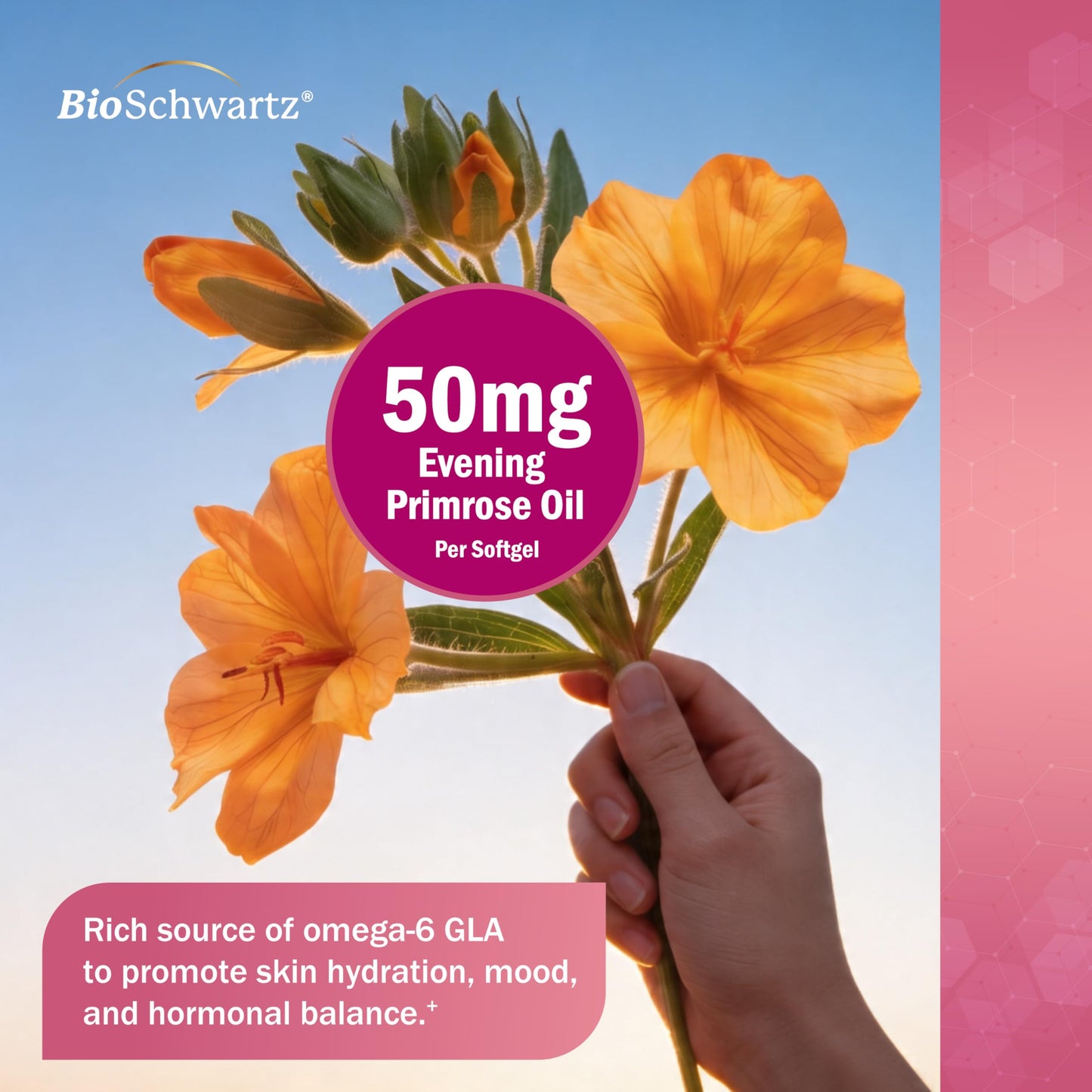 BioSchwartz Fish Oil Omega 3 Supplement for Women Capsule, 60 Count