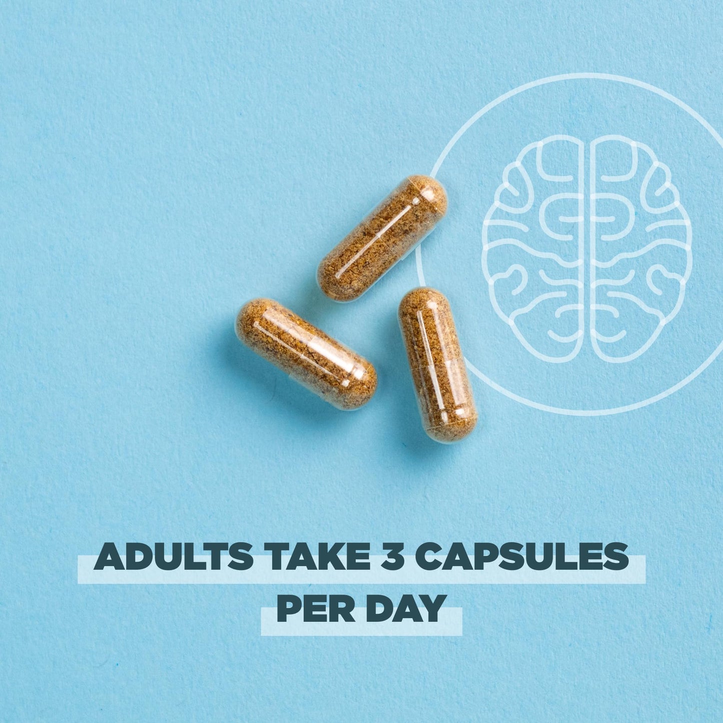 Ancient Nutrition Regenerative Organic Certified Focused Brain Capsules 90 Count