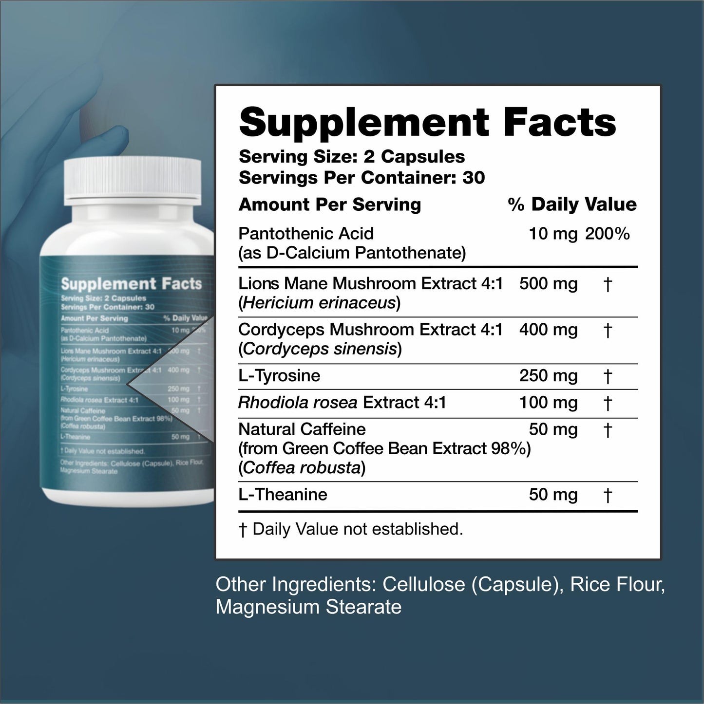 Reset+Rise Nootropic Brain Supplement with Lion’s Mane Mushroom, Cordyceps & Rhodiola Rosea Extract - Capsule, 60 Capsules