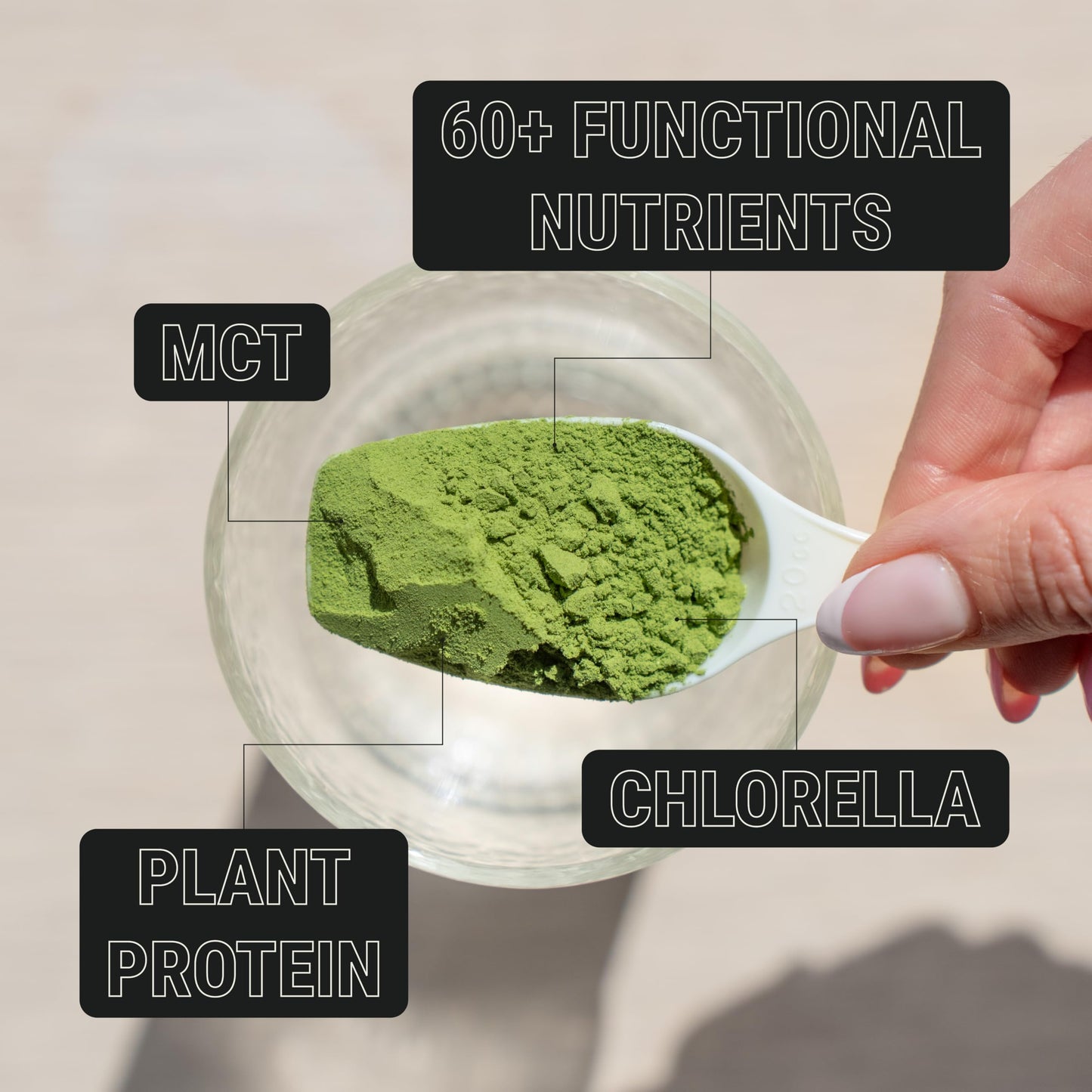 Sun Chlorella ON3 Athletic Protein Greens Supplement with chlorella, eleuthero and MCT Powder, 18 oz
