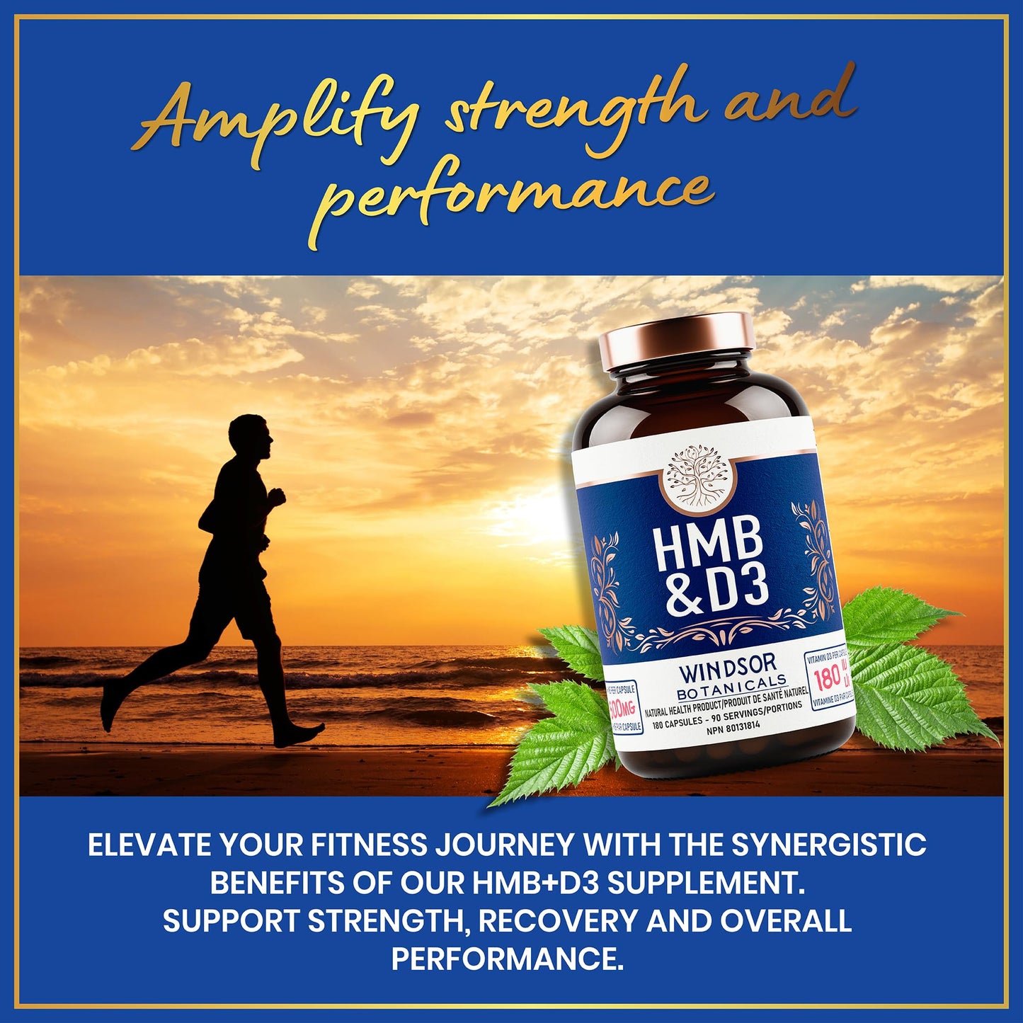 WINDSOR BOTANICALS HMB and Vitamin D3 Supplement 180 Capsules