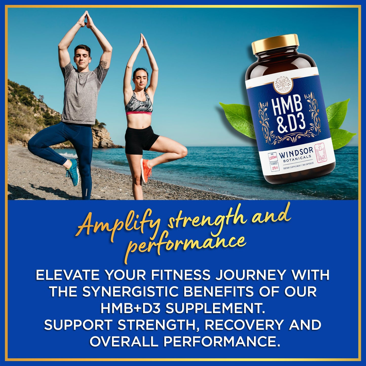 WINDSOR BOTANICALS HMB and Vitamin D3 Supplement Capsules 360
