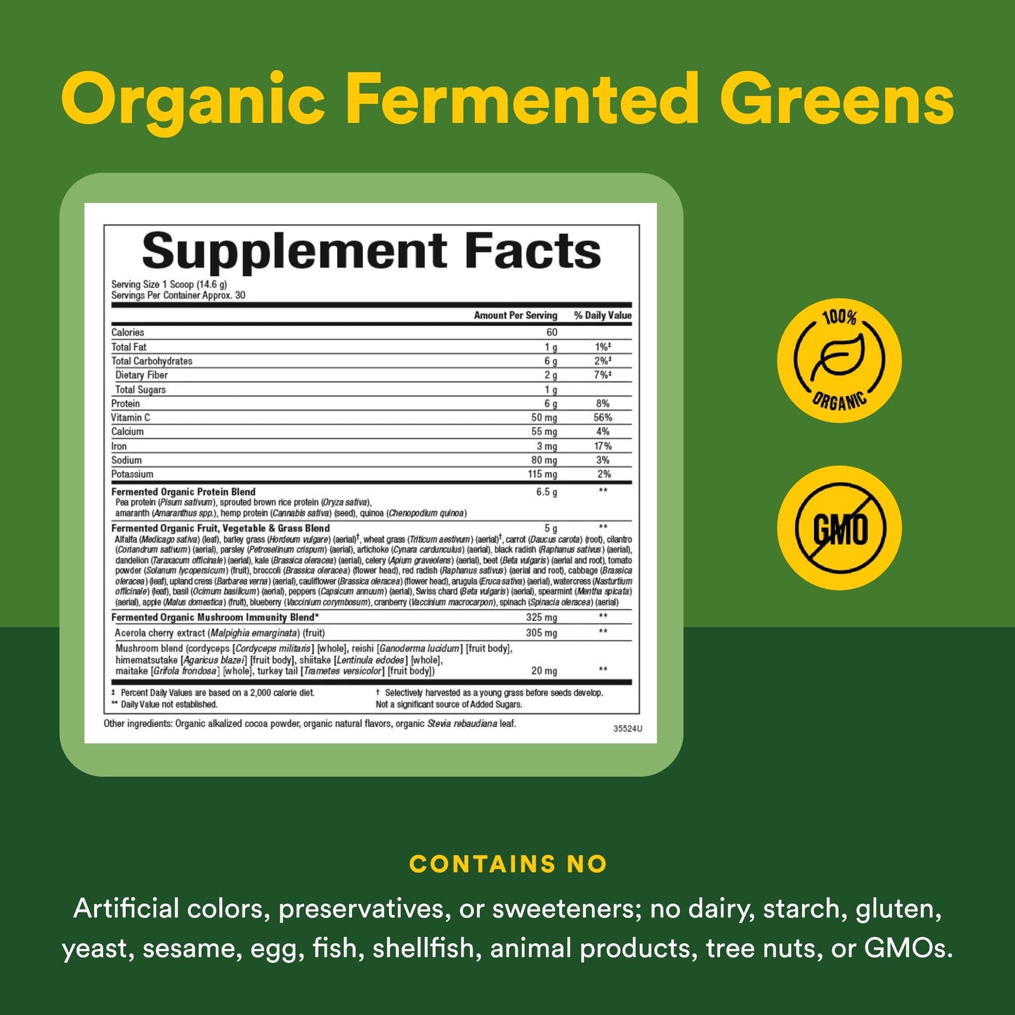Natural Factors Whole Earth & Sea Organic Fermented Greens Vegan Whole Food Supplement Chocolate Powder 15.5 oz