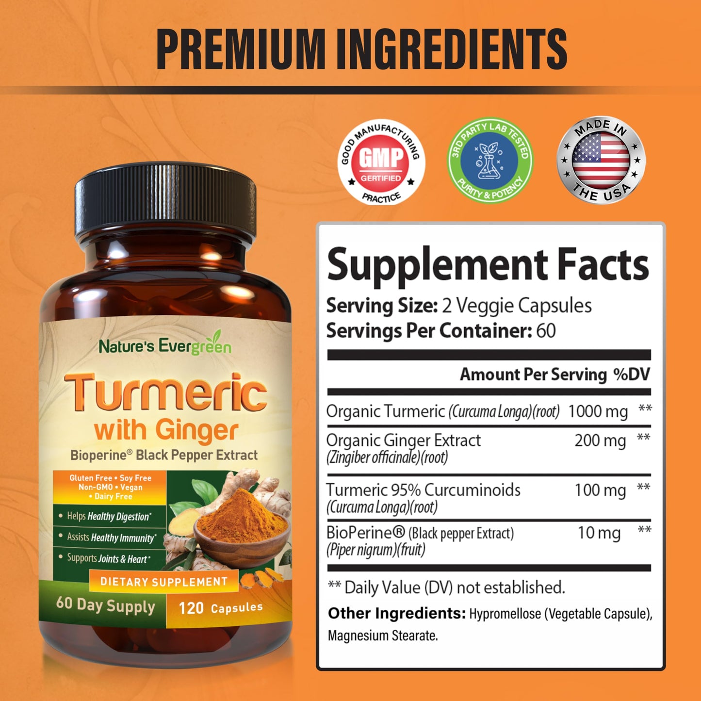 Nature's Evergreen Turmeric with Ginger Root Joint Support Supplement Capsule 1 Count