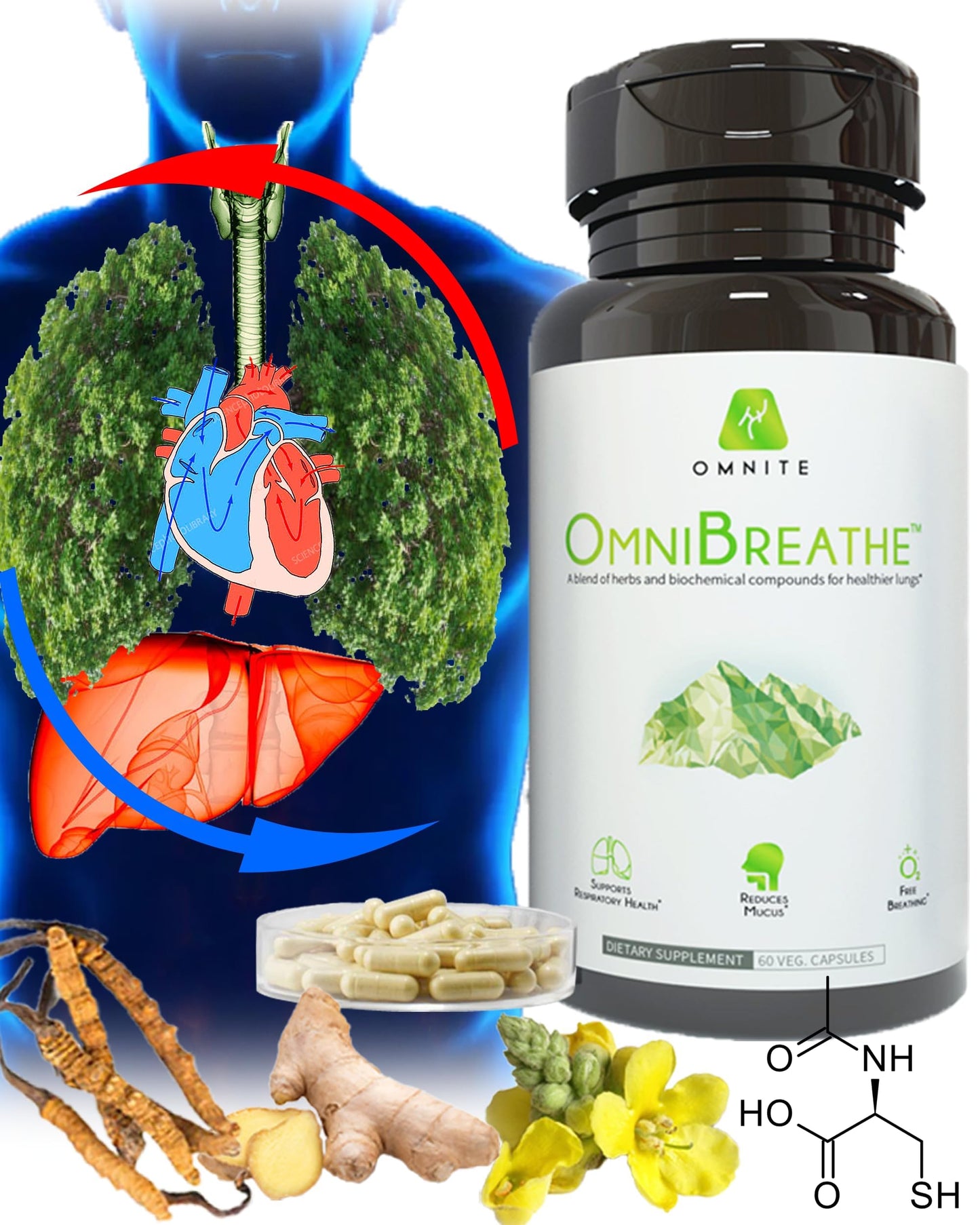 Omnite Omnibreathe Respiratory Wellness Lung Supplement Softgels 60