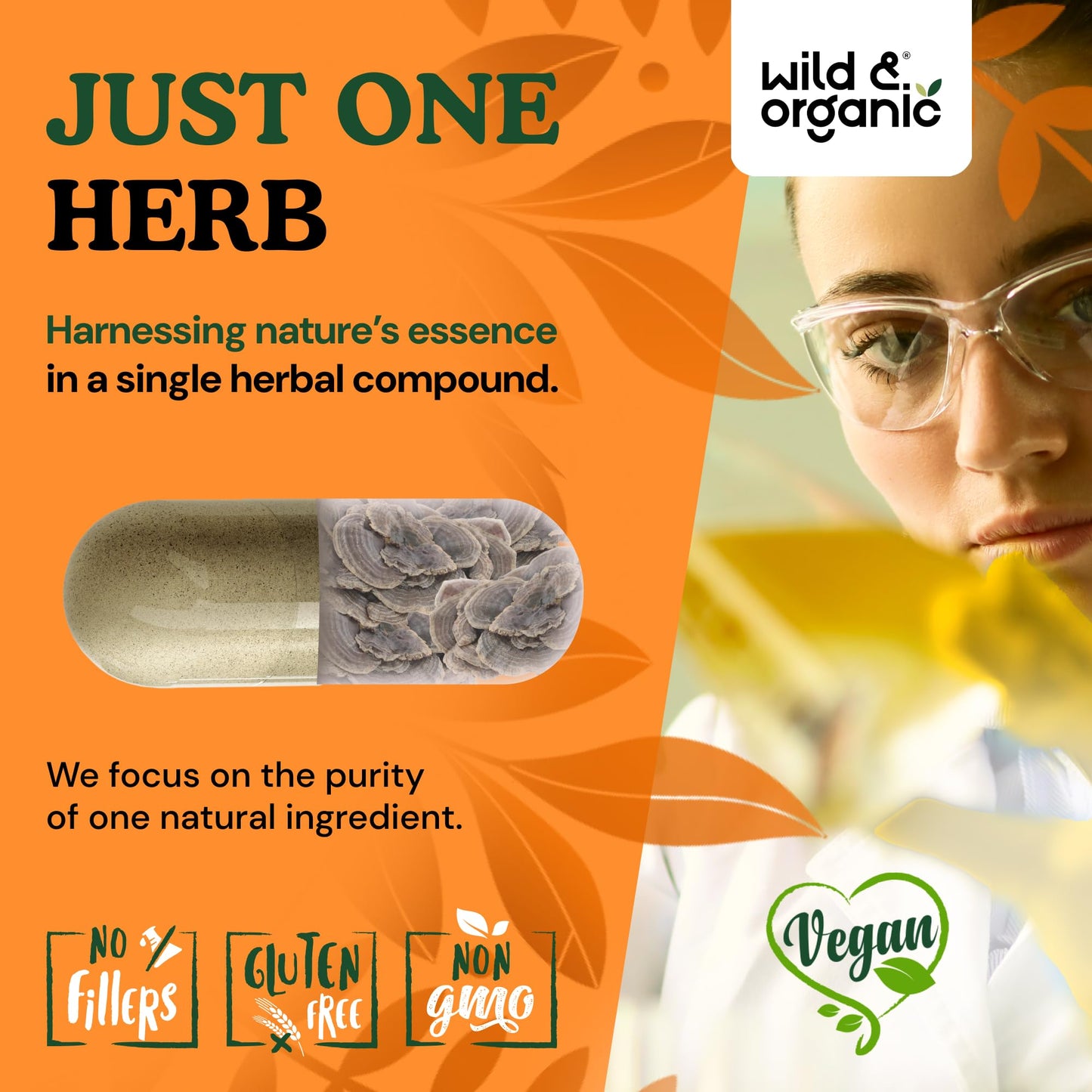 Wild & Organic Turkey Tail Mushroom Capsules 1000 mg, 90 Count